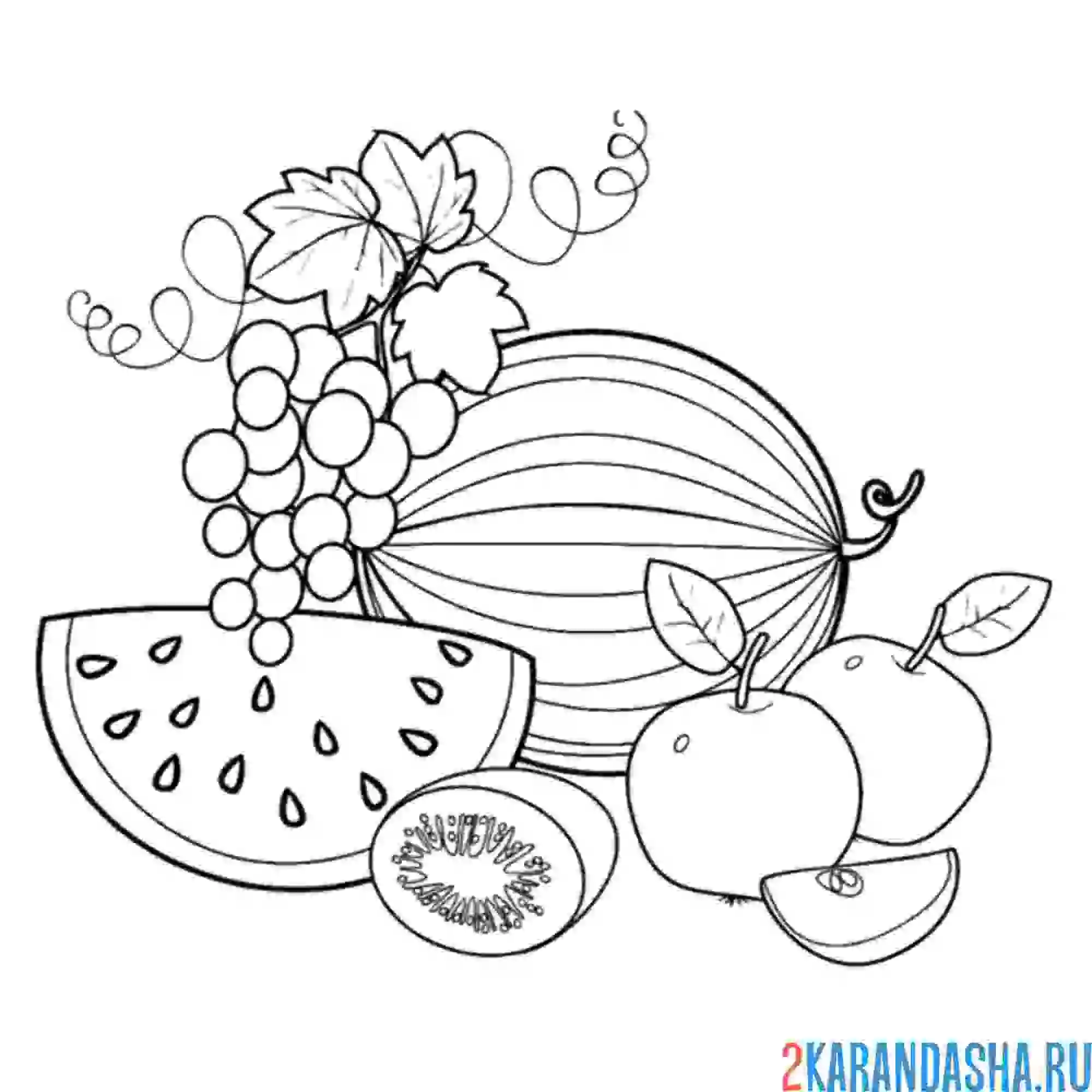 Раскраска фрукты арбуз, киви, виноград