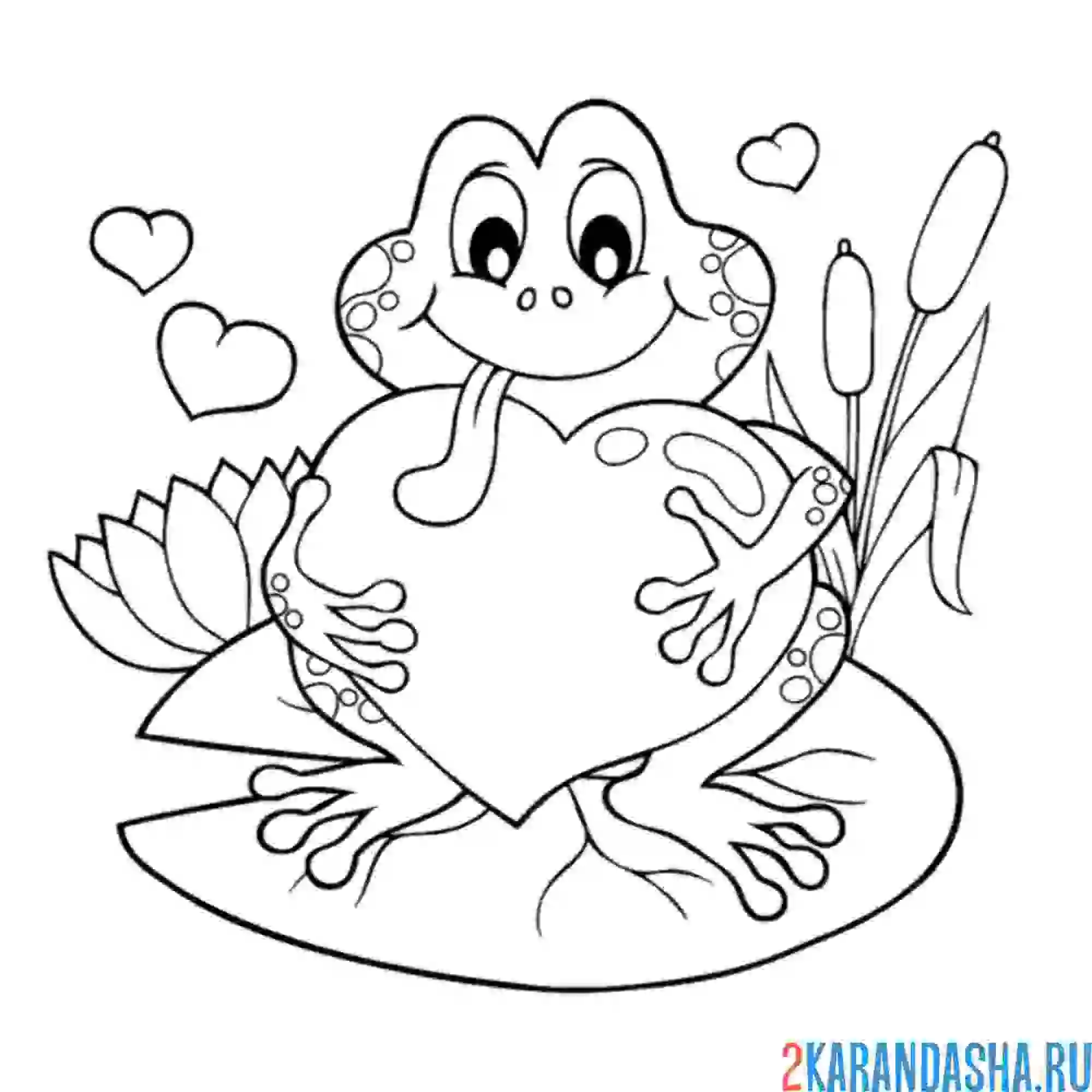 Раскраска лягушка с сердечком