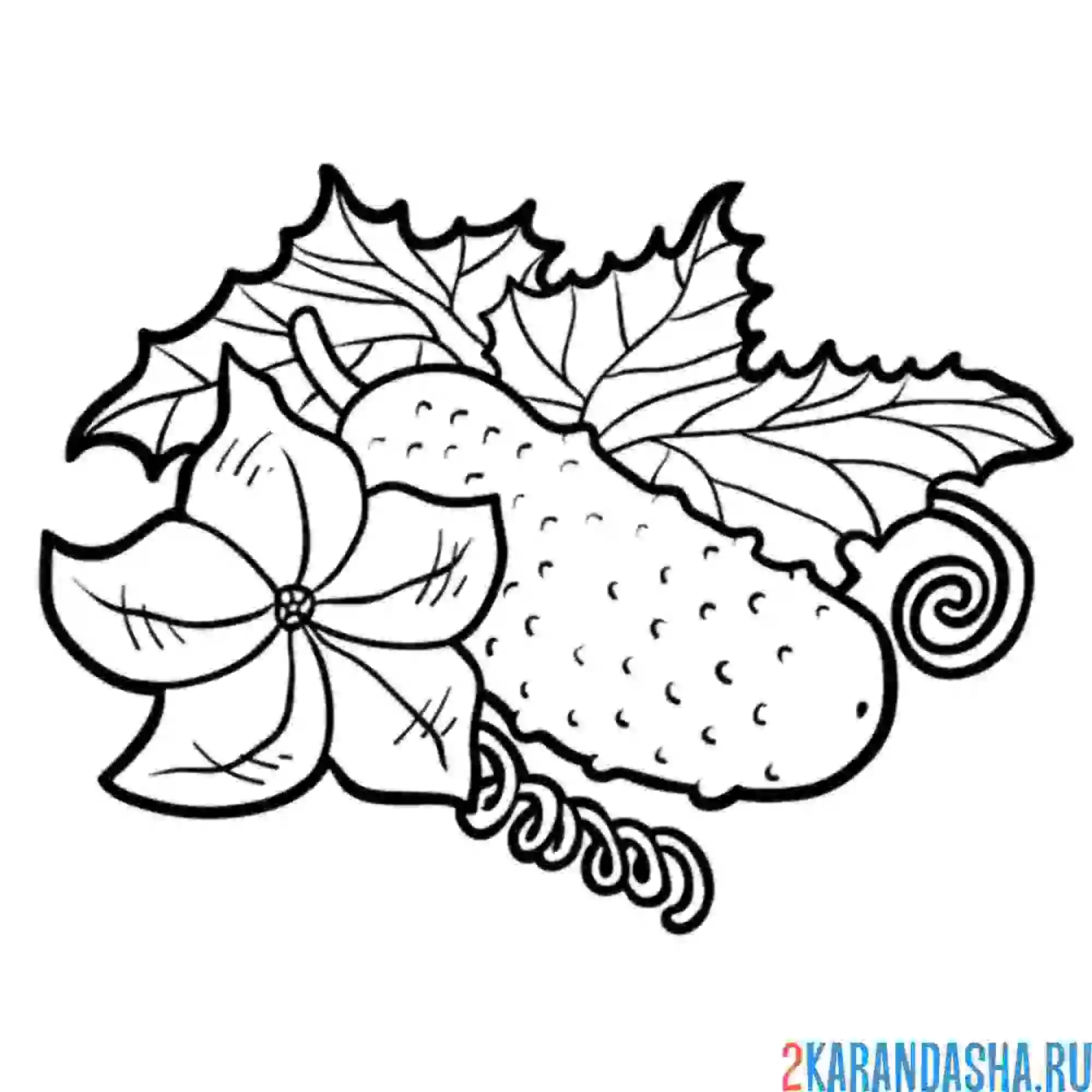 Раскраска свежий огурец