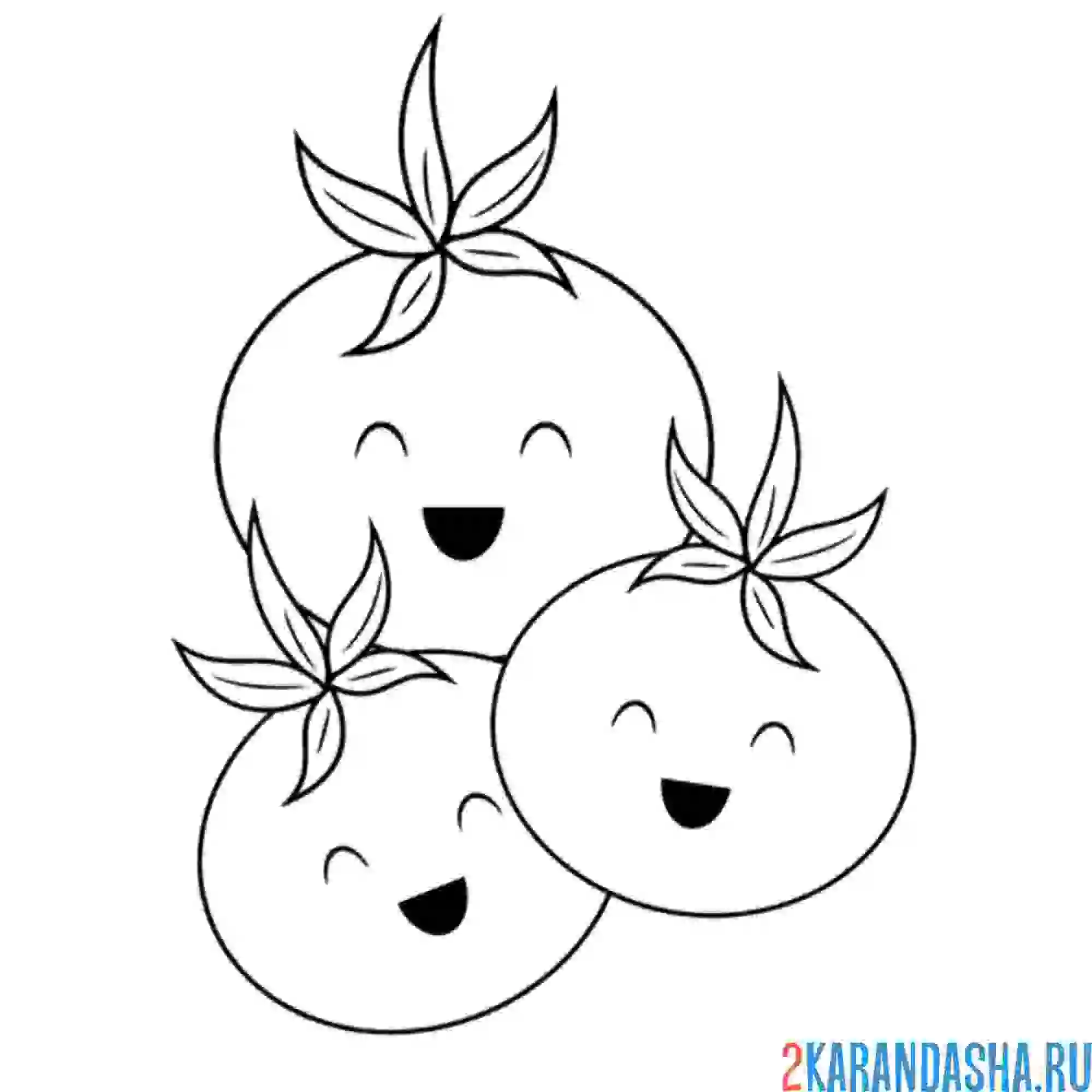 Раскраска три помидорки