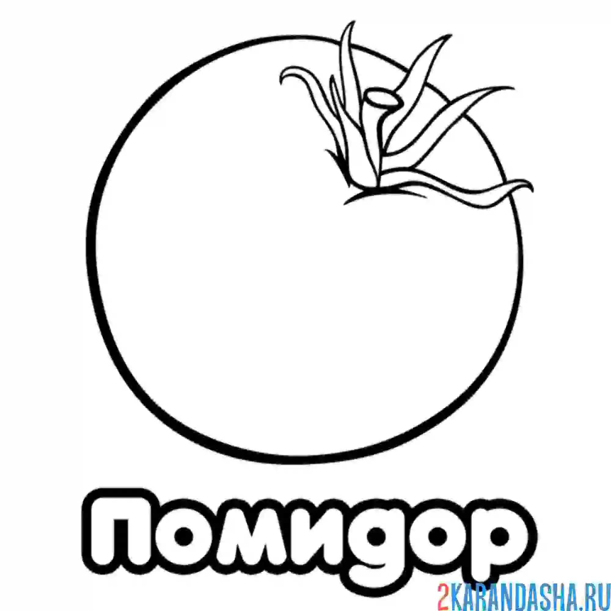 Раскраска помидор с надписью