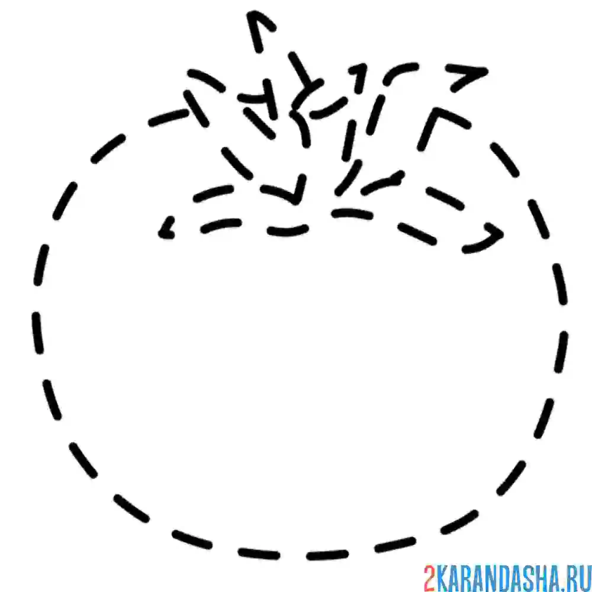 Раскраска обведи помидор по линии
