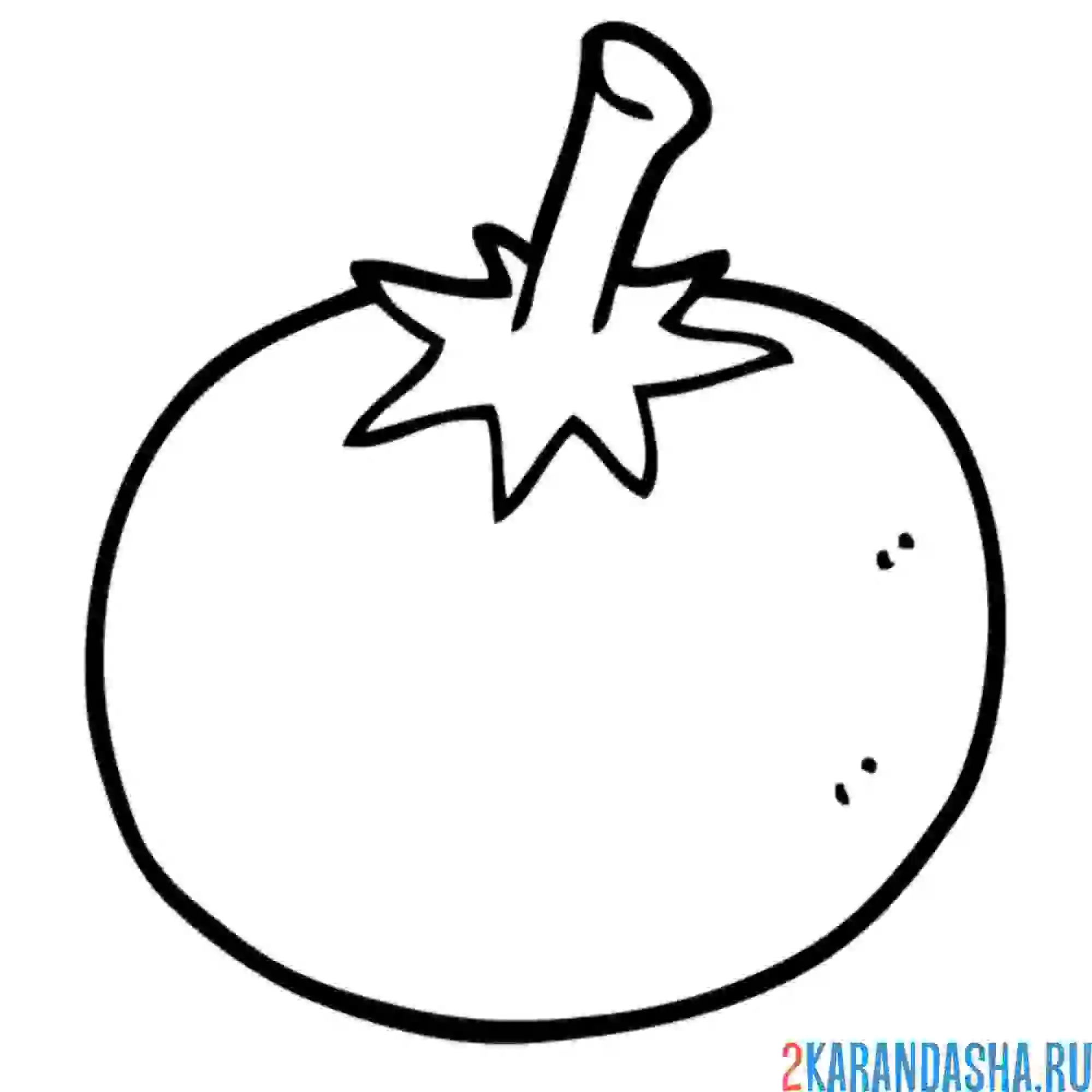 Раскраска помидор с хвостиком