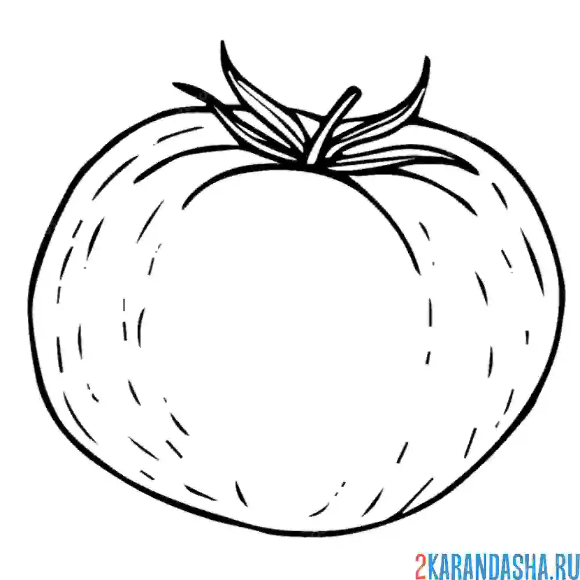Раскраска спелый томат