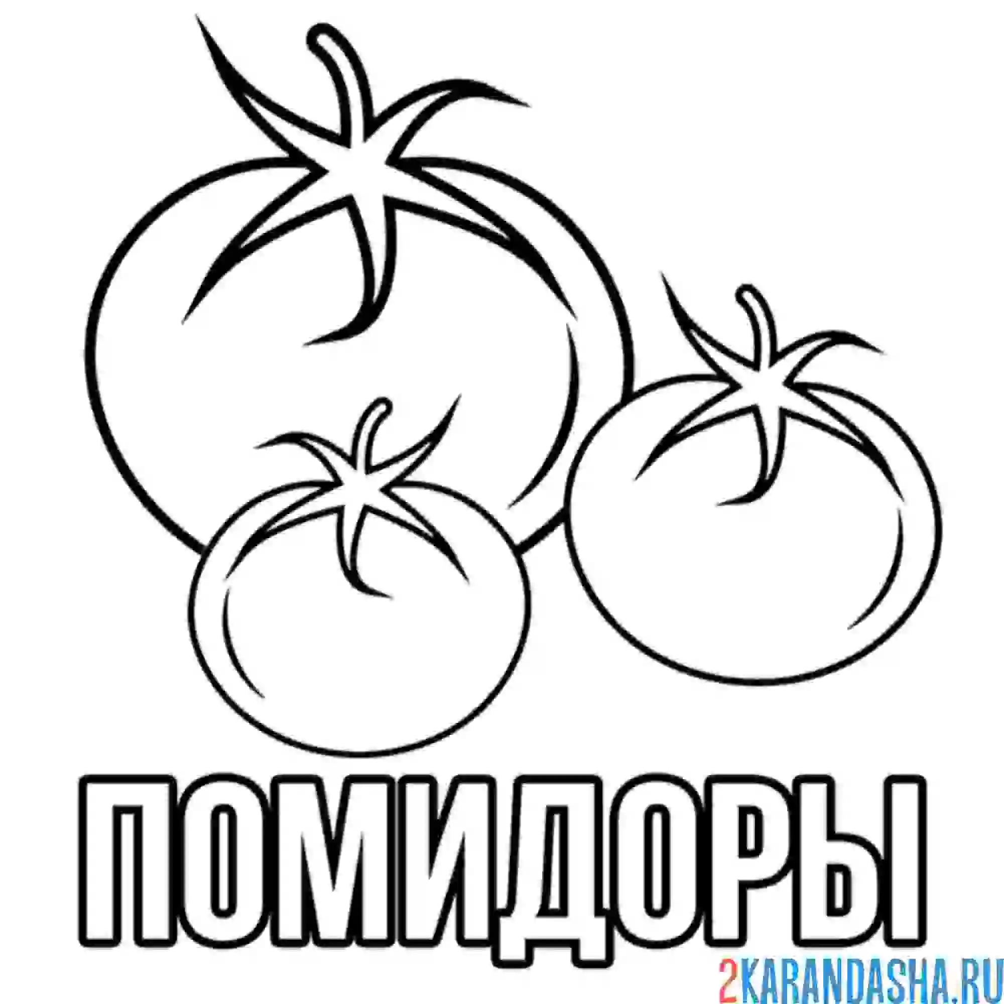 Раскраска помидоры три штуки