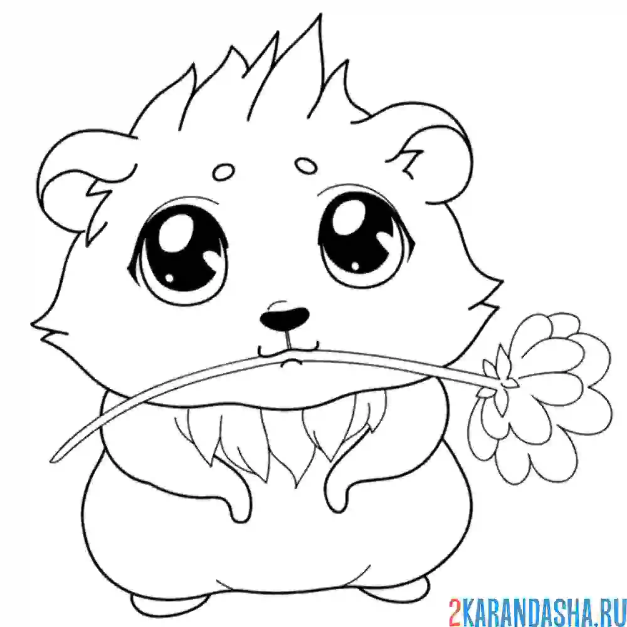 Раскраска милый хомяк аниме