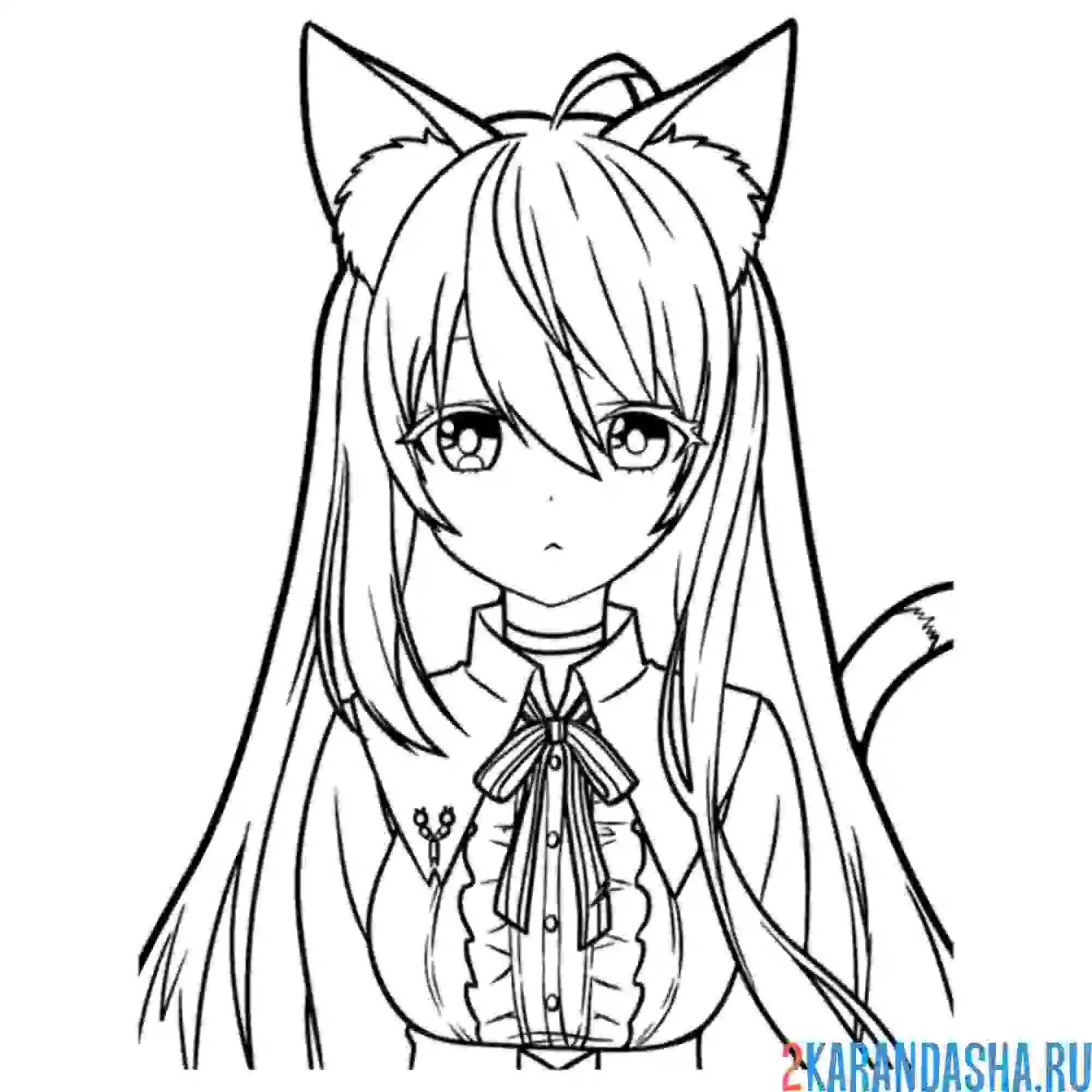 Раскраска неко аниме девушка кошка