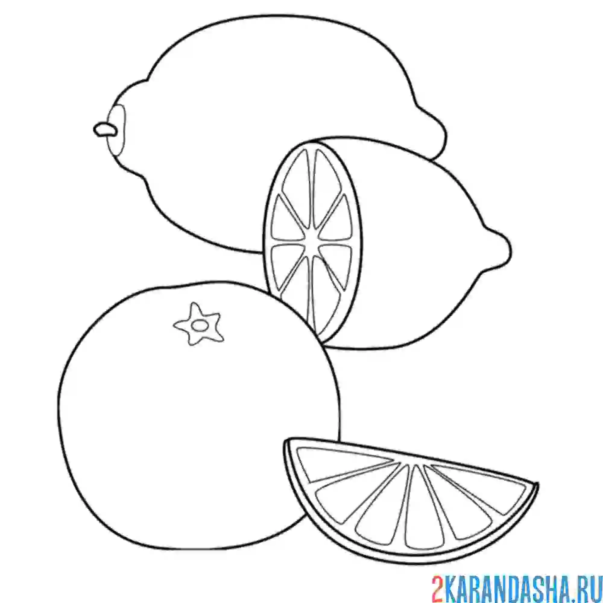 Раскраска лимон и мандарин