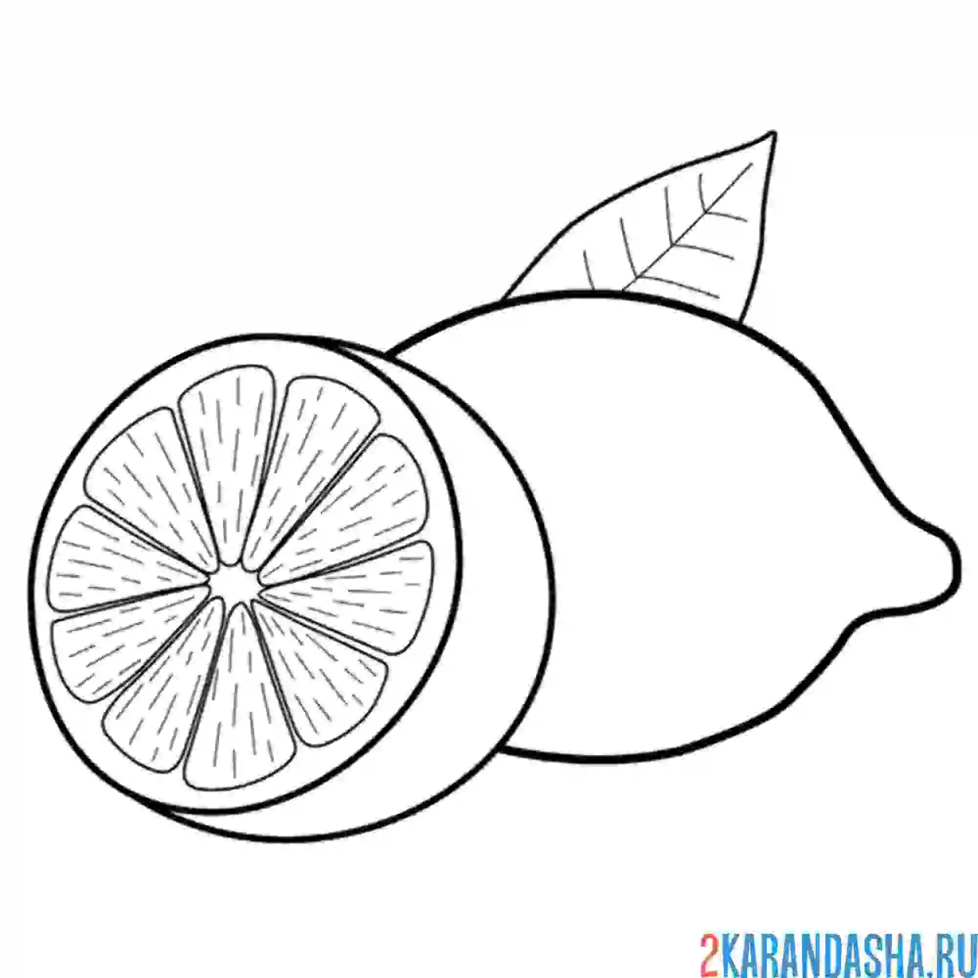 Раскраска съедобный лимон