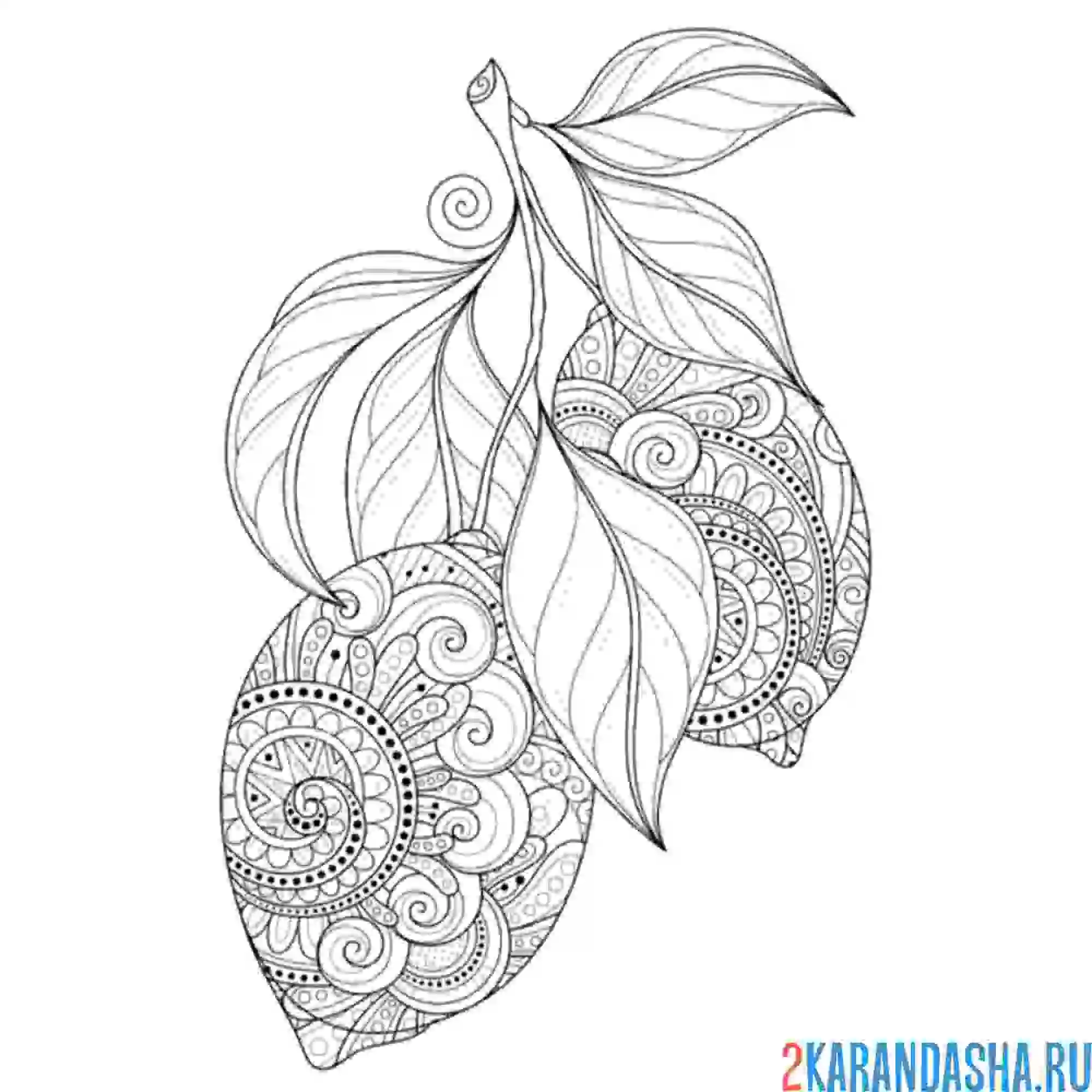 Раскраска лимон-антистресс