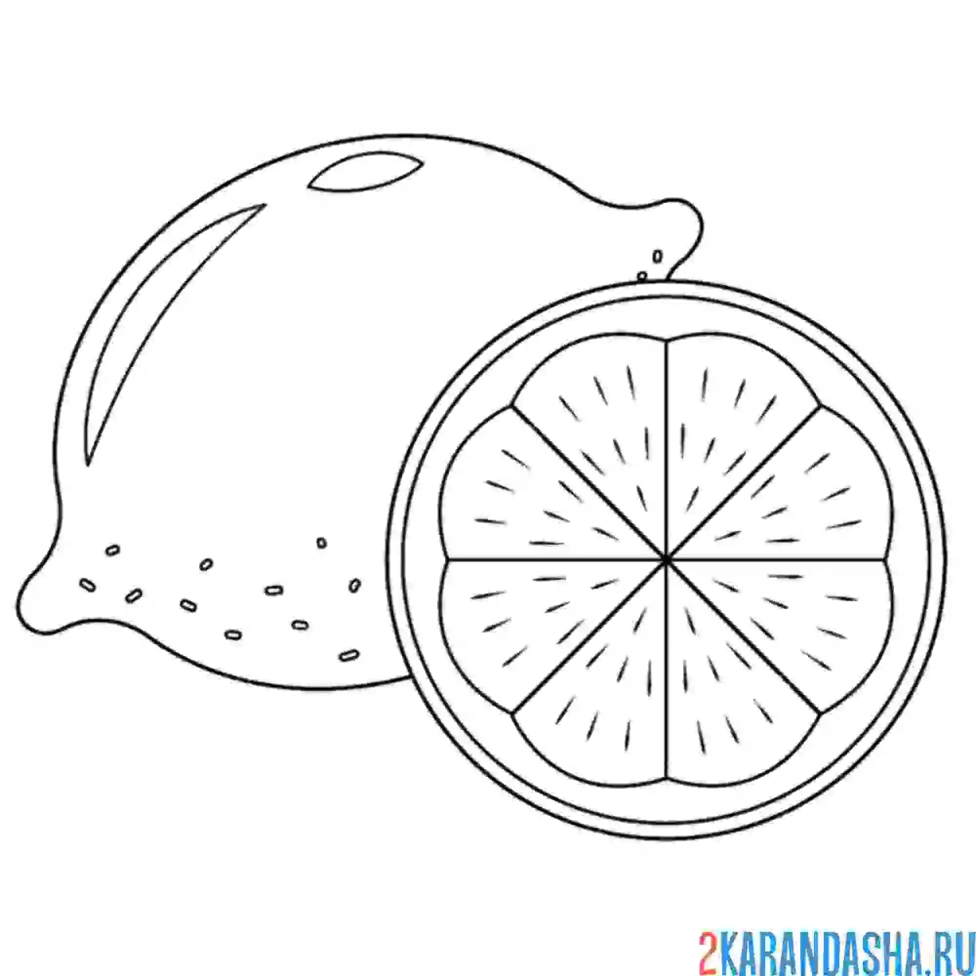 Раскраска сочный лимон