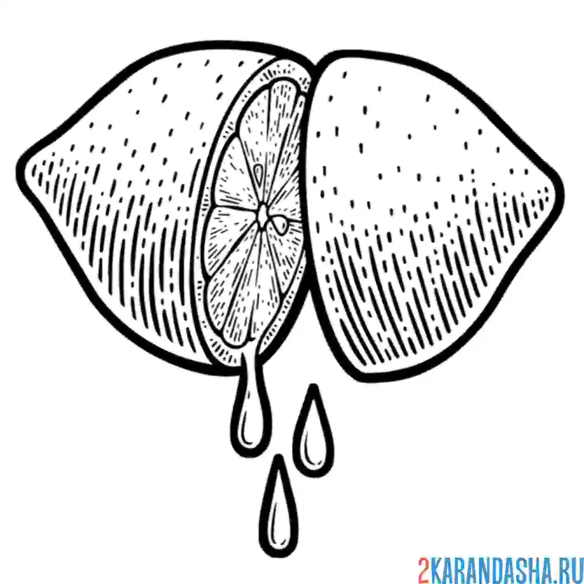 Раскраска разрезанный лимон