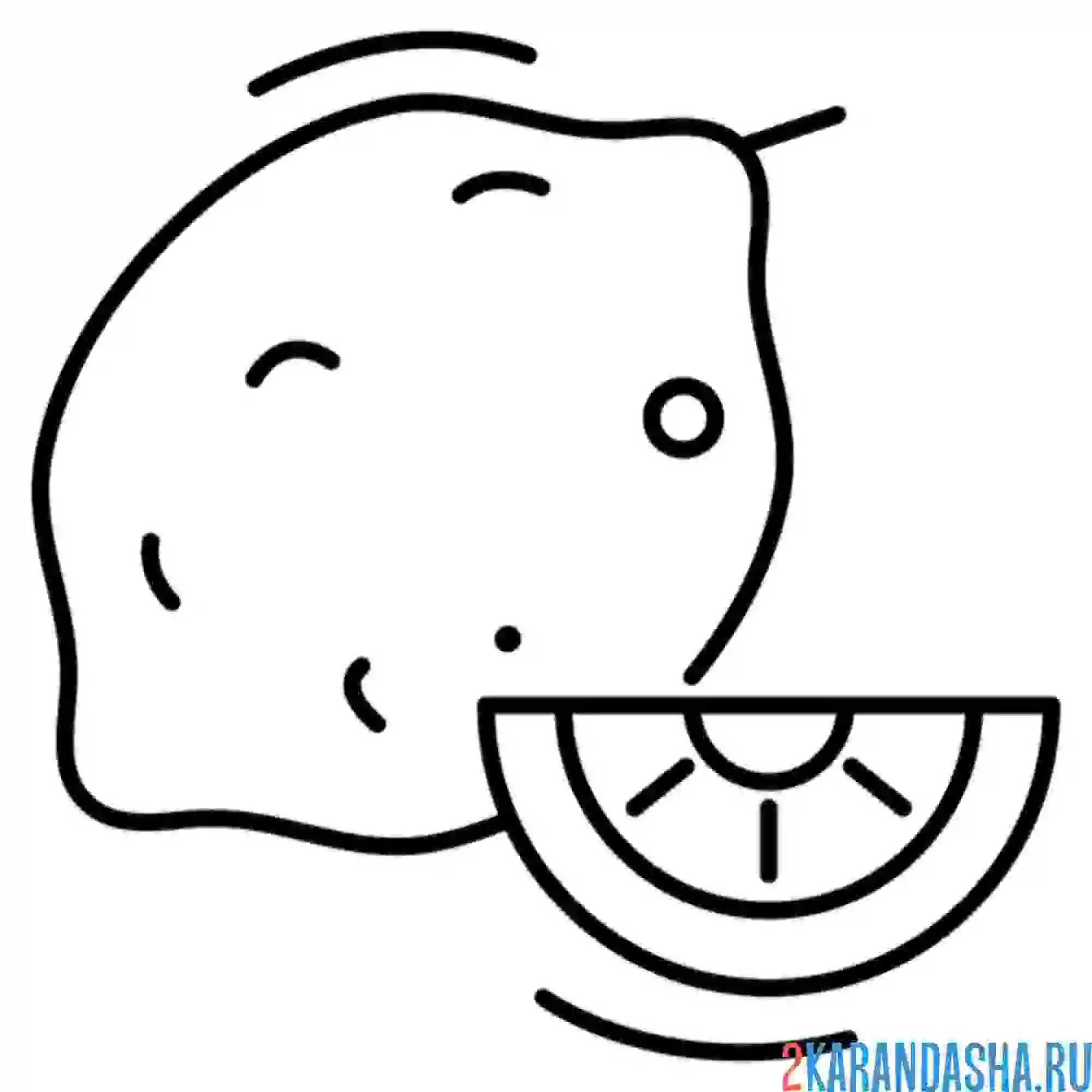 Раскраска лимон полезный