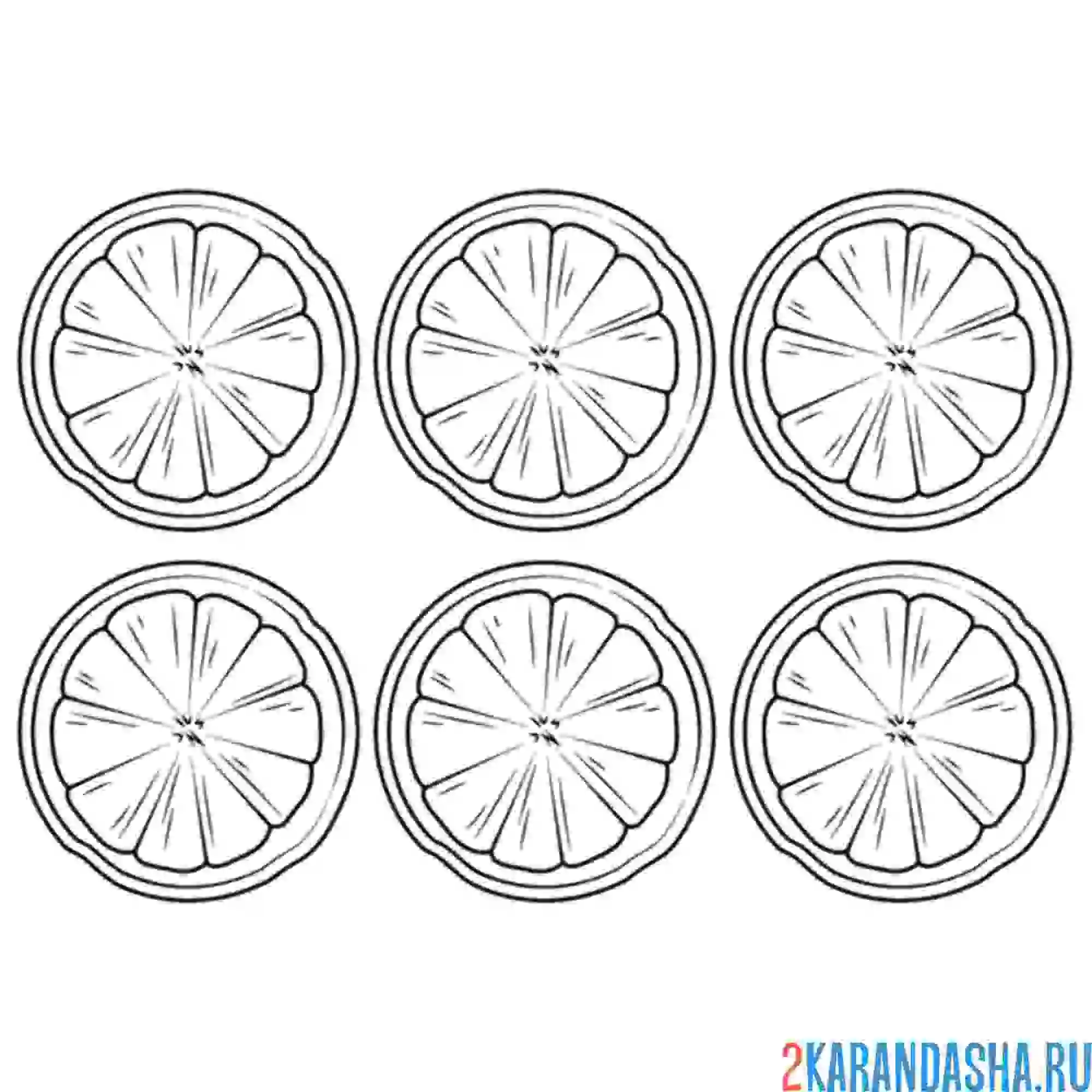 Раскраска дольки лимона 6 штук