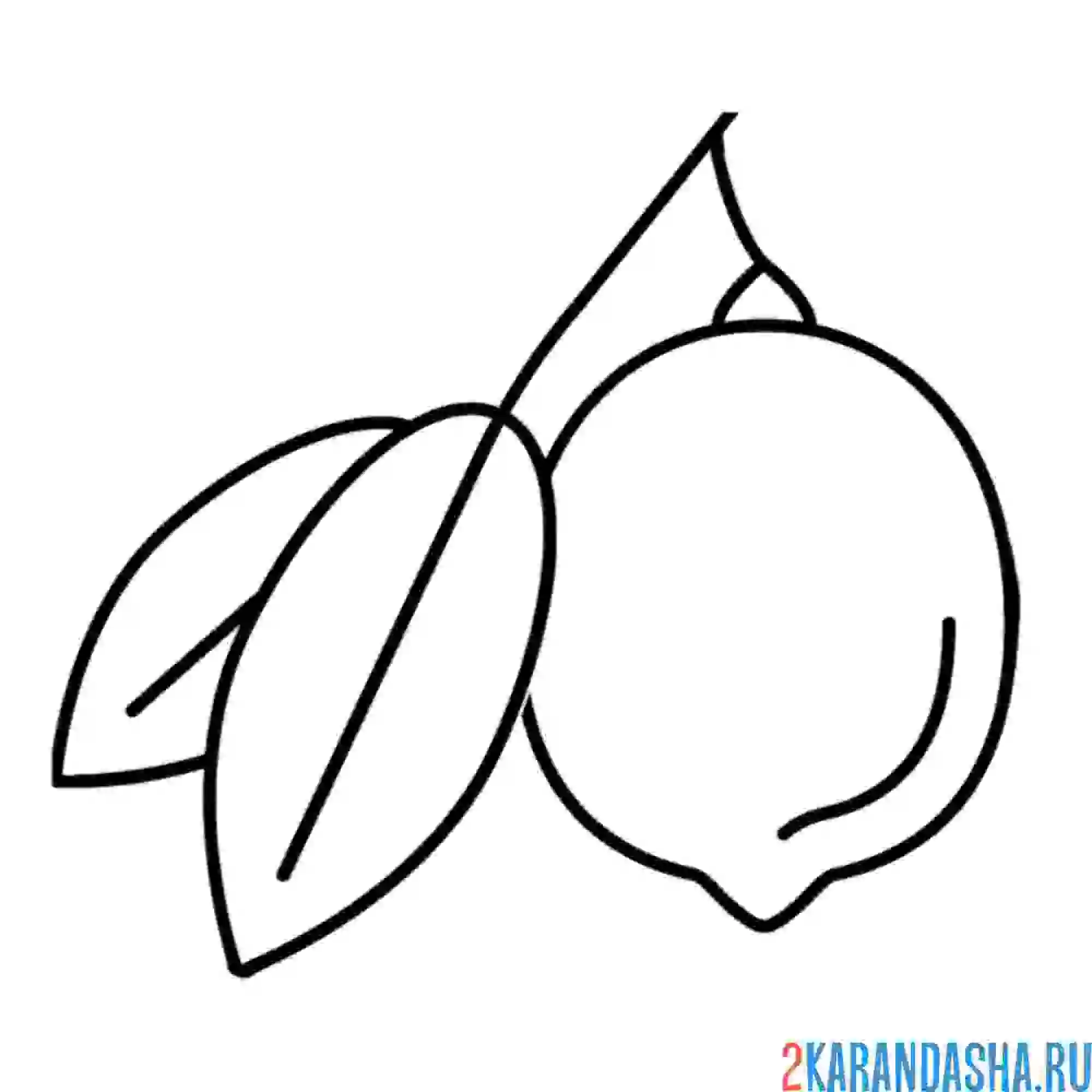 Раскраска лимон с листьями