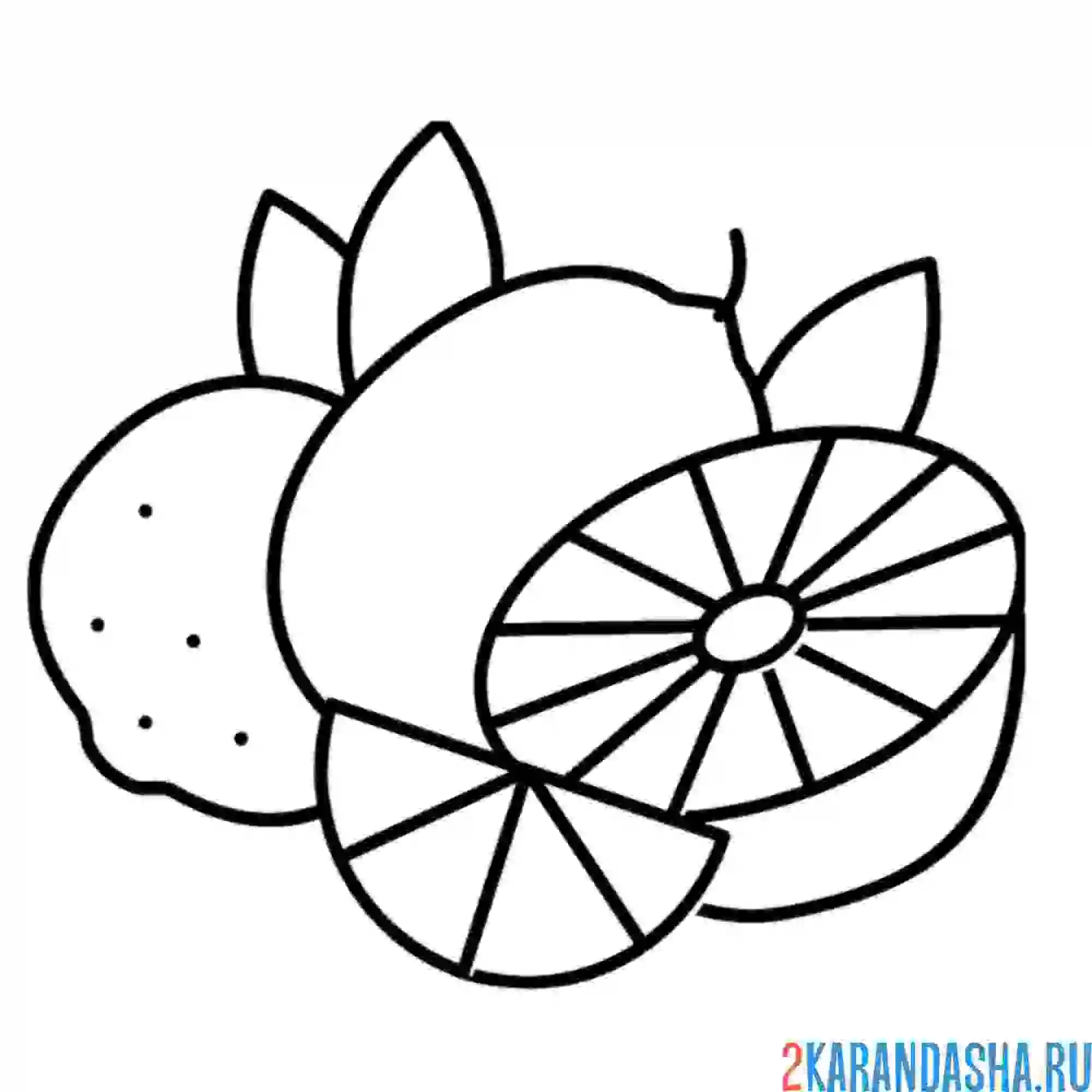 Раскраска фрукт лимон