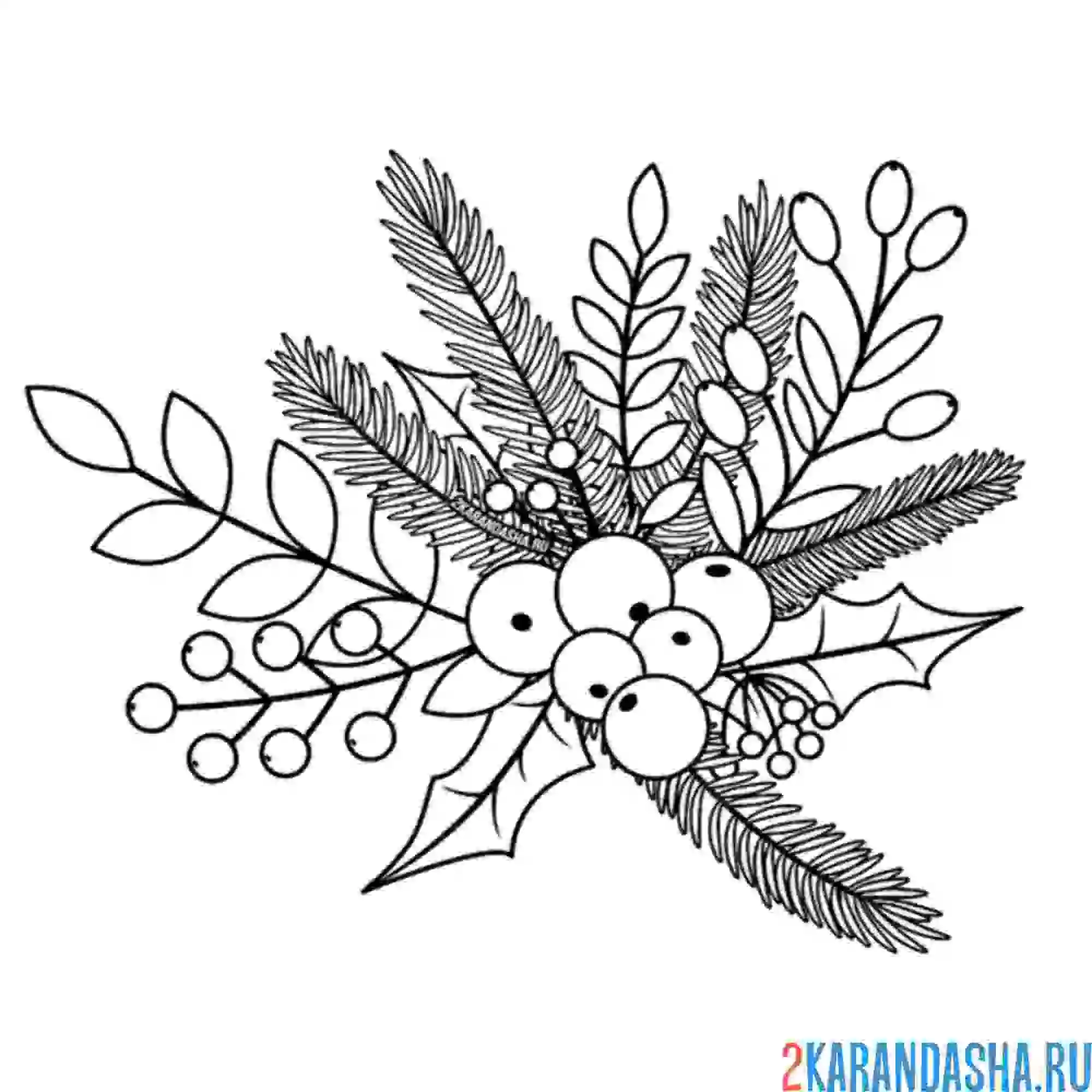 Раскраска ветка рождественской елки