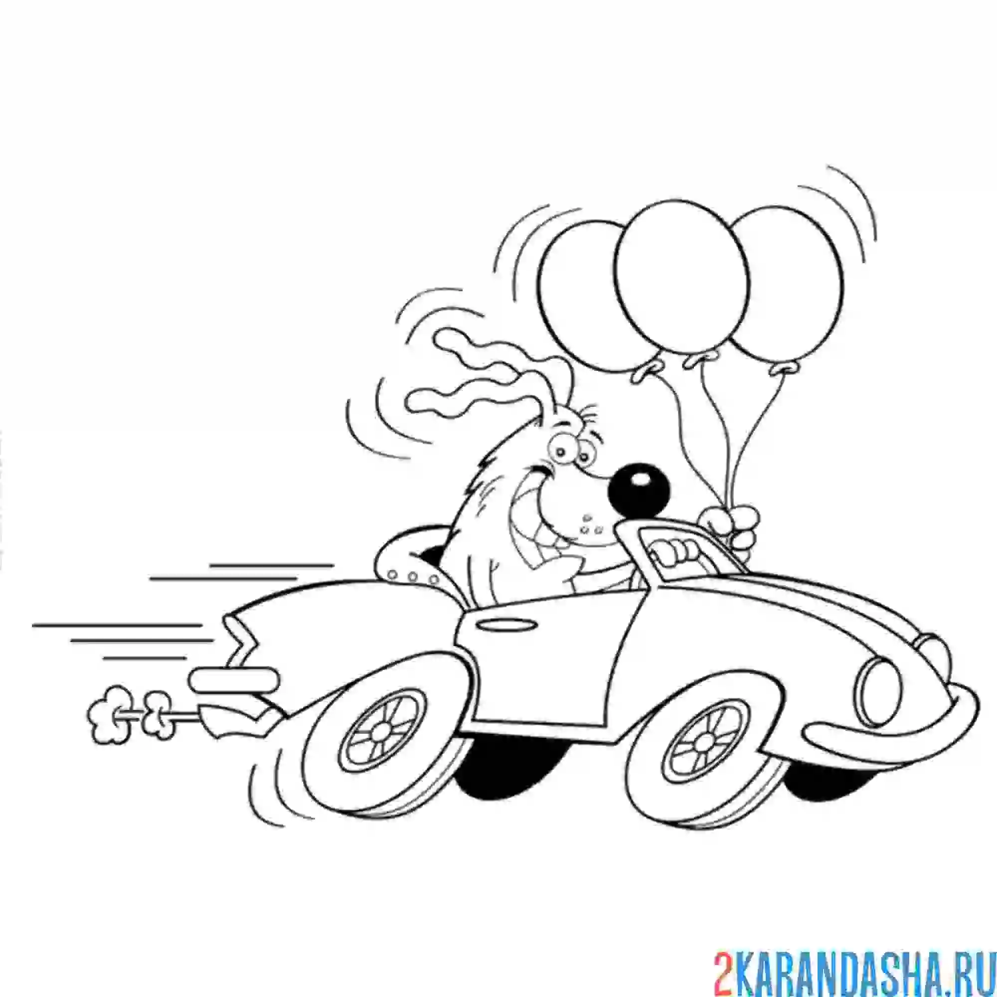 Раскраска собачка на машине и воздушные шарики