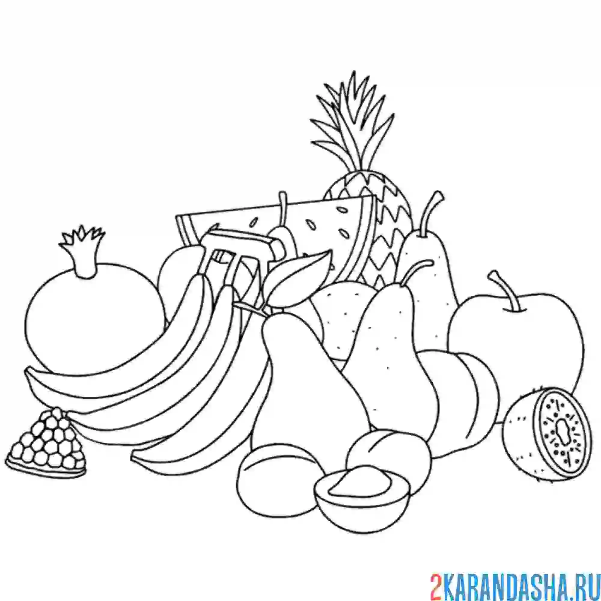 Раскраска много фруктов натюрморт