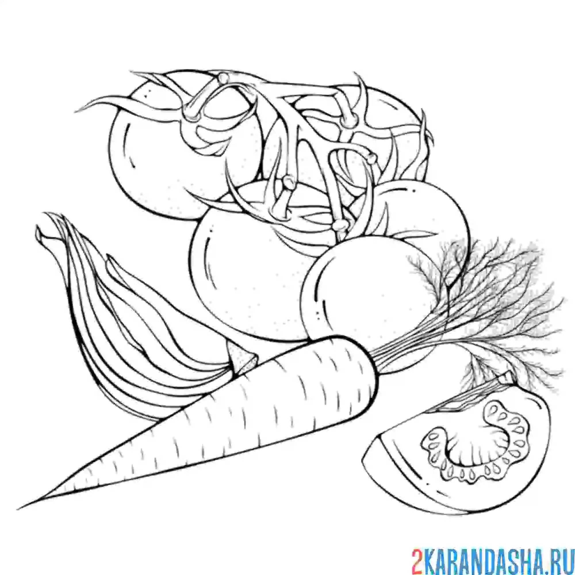 Раскраска овощи для натюрморта