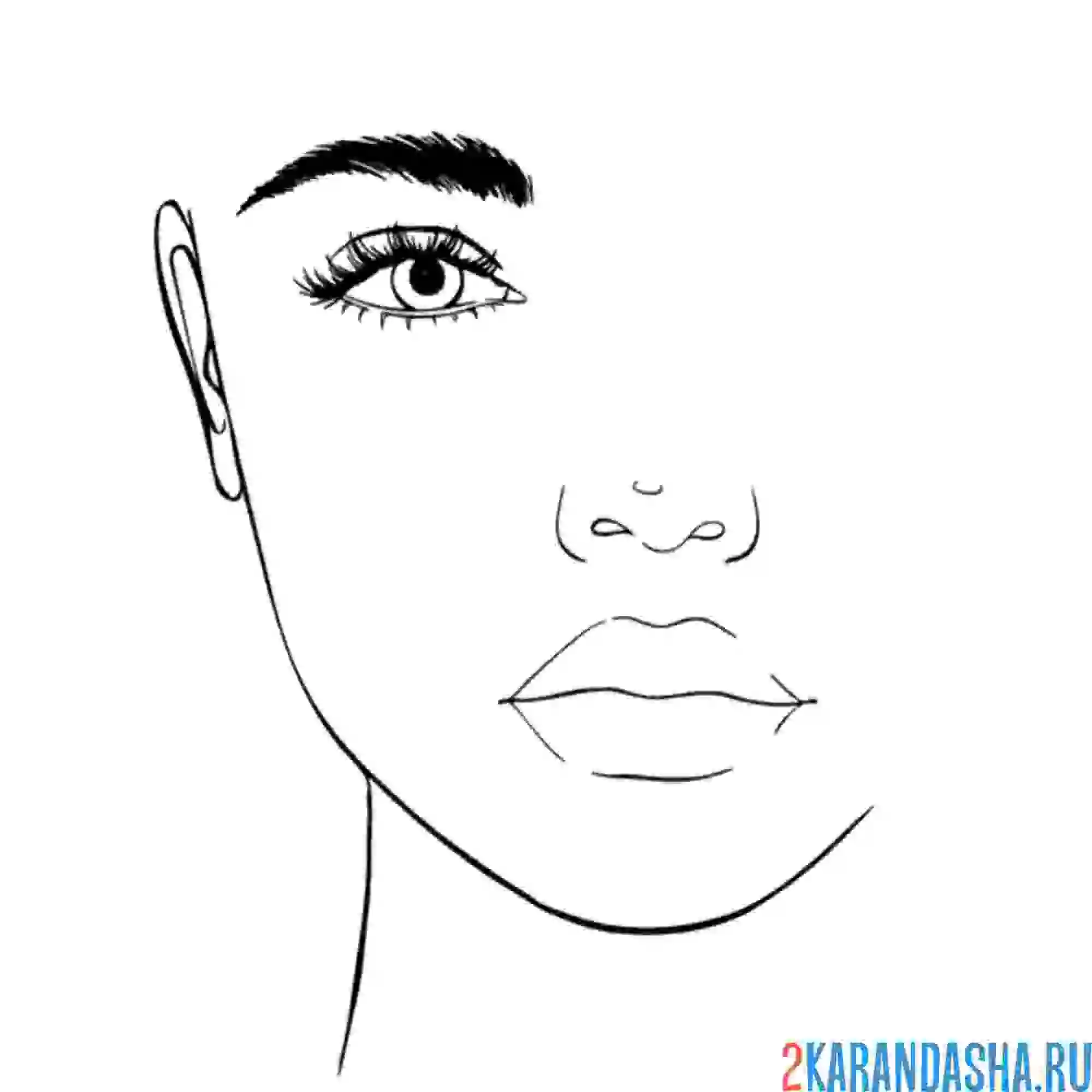 Раскраска половина лица девушки для макияжа