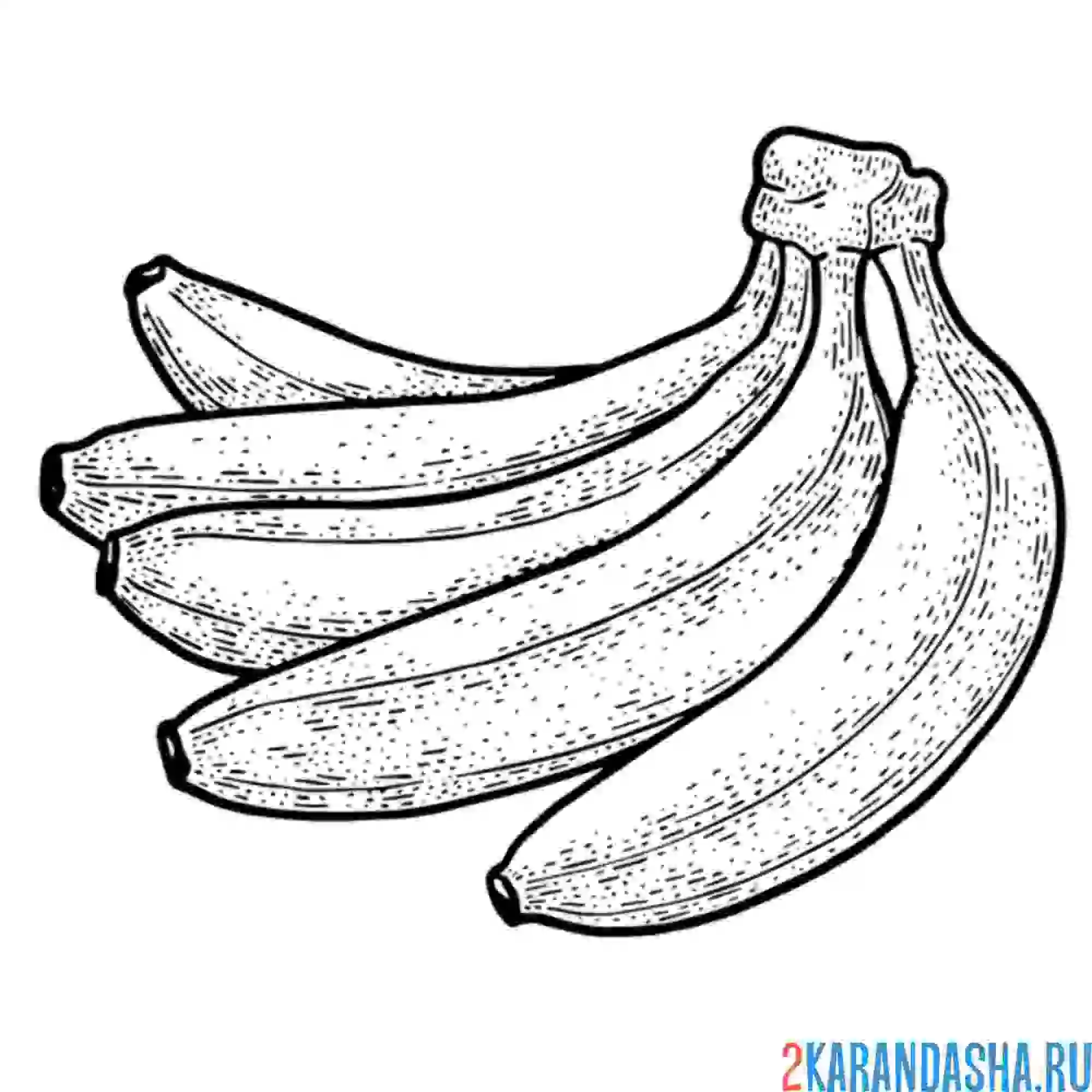 Раскраска связка спелых бананов