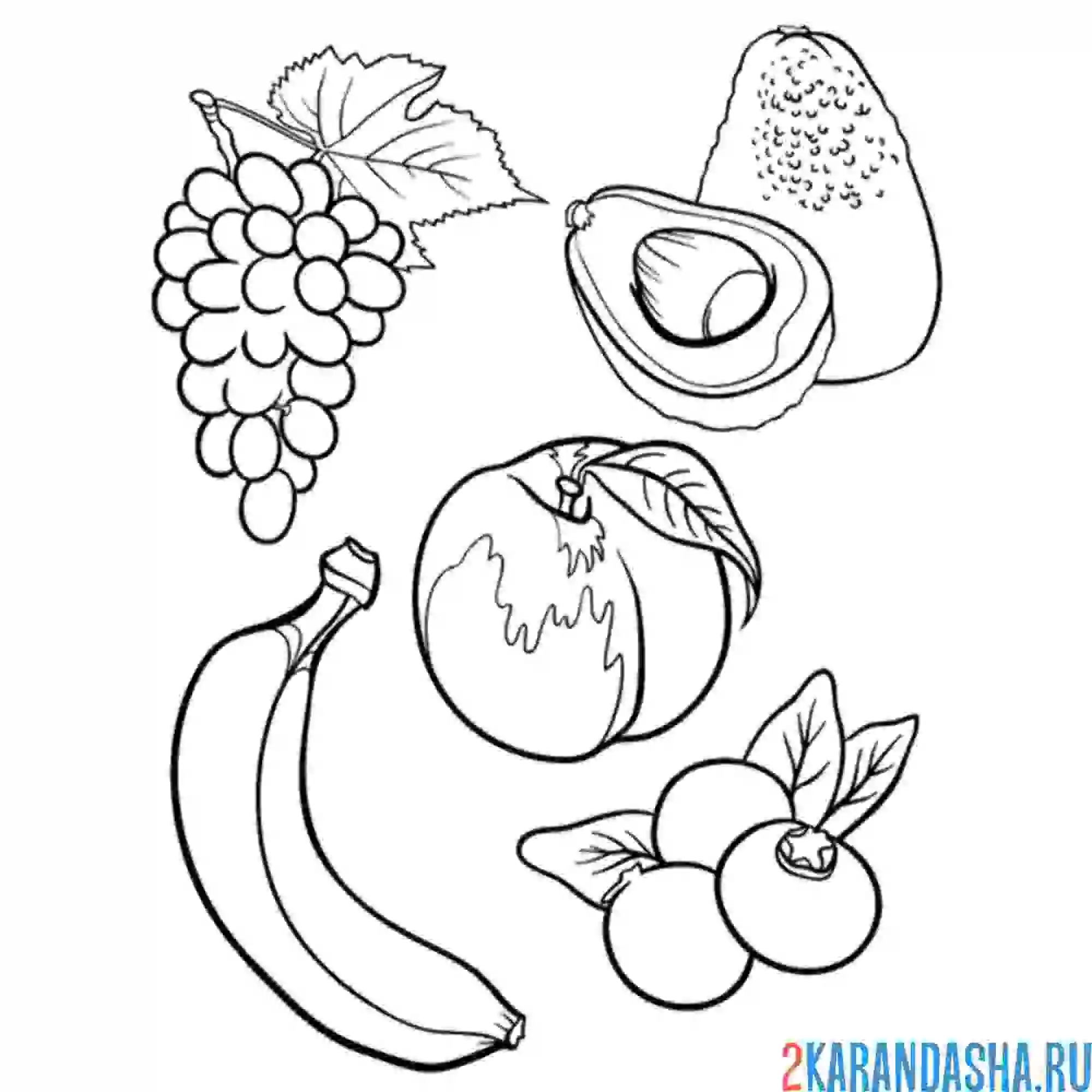 Раскраска банан, персик, ежевика, виноград и авокадо