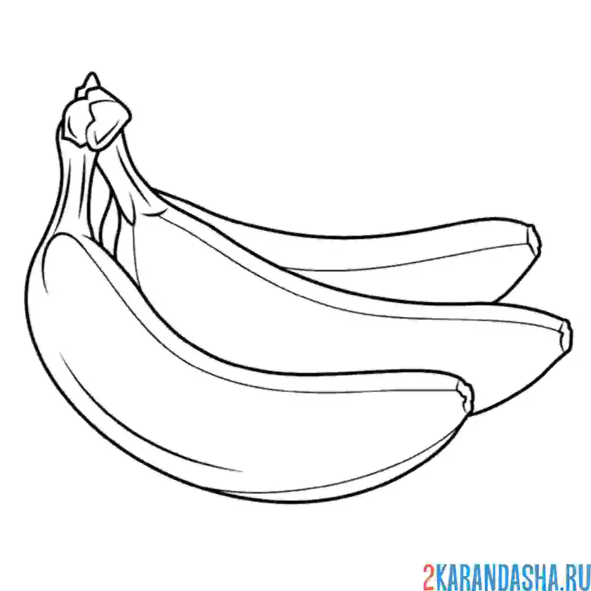 Раскраска три банана свзязка