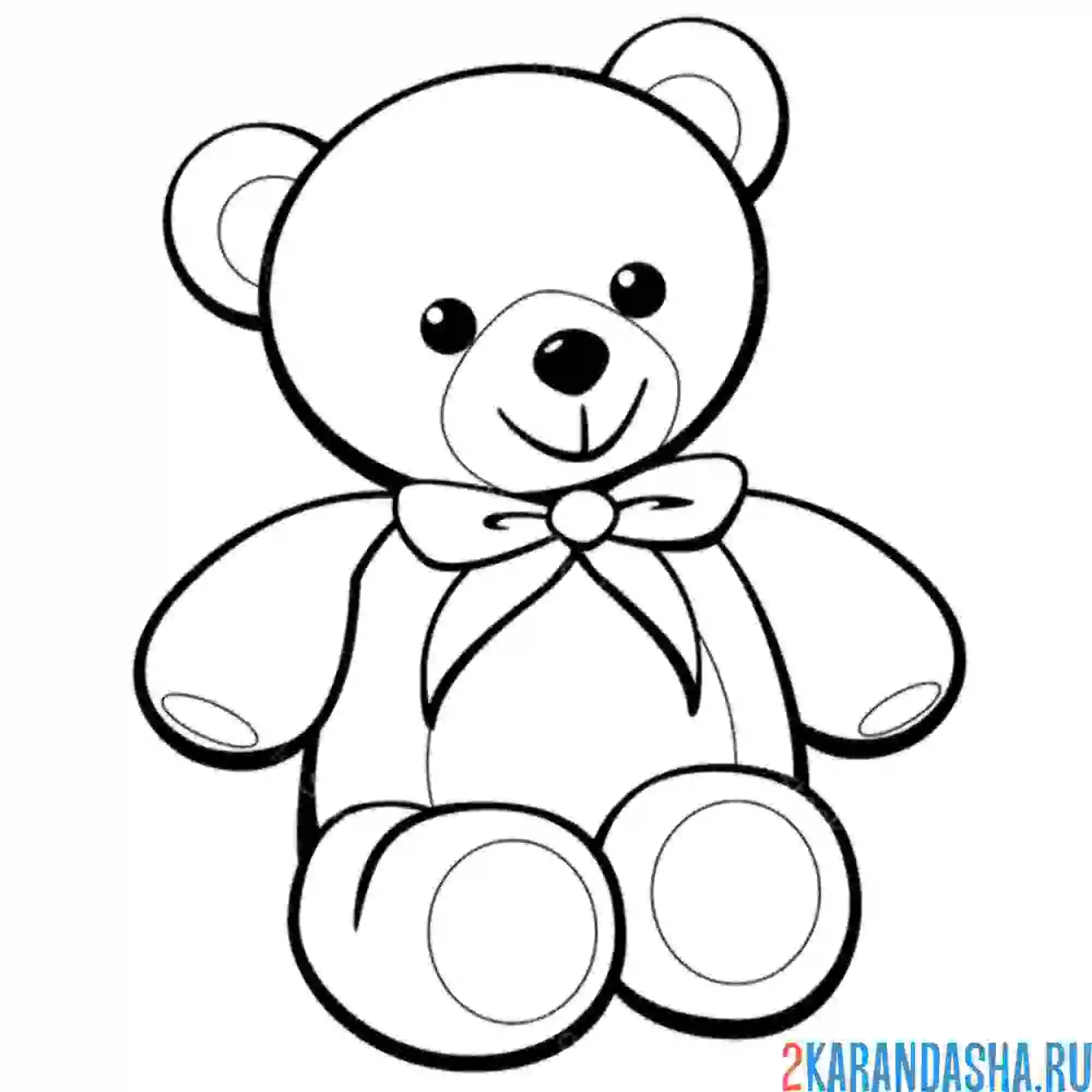 Раскраска медведь с бантиком