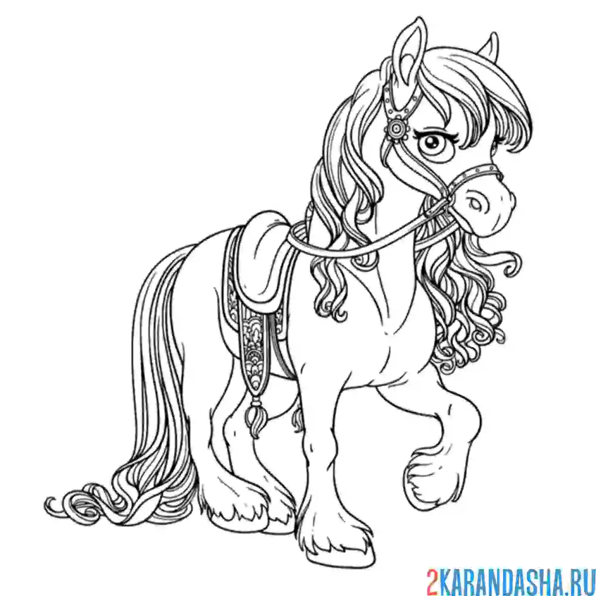Раскраска красивая лошадь для принцессы