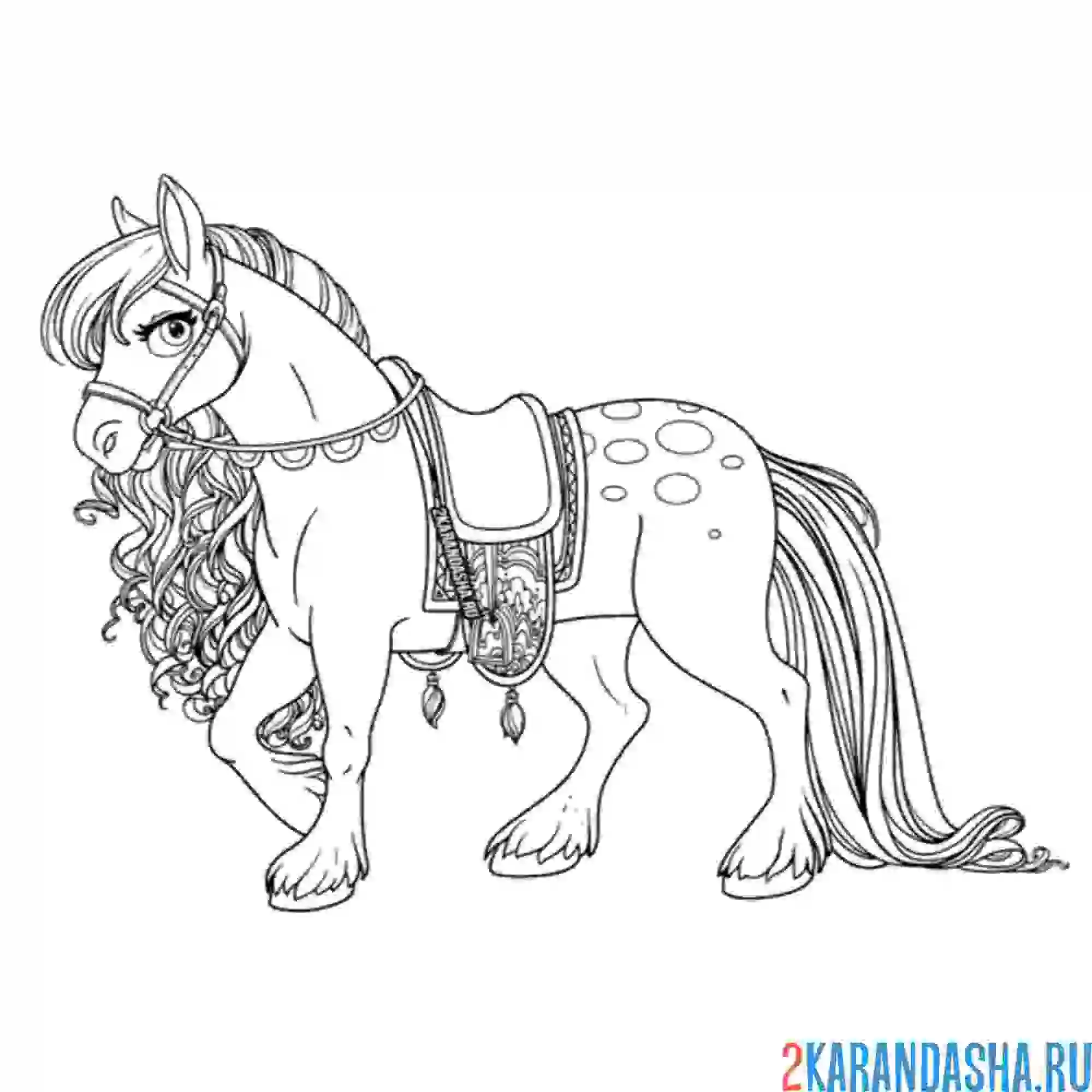 Раскраска красивая статная лошадь
