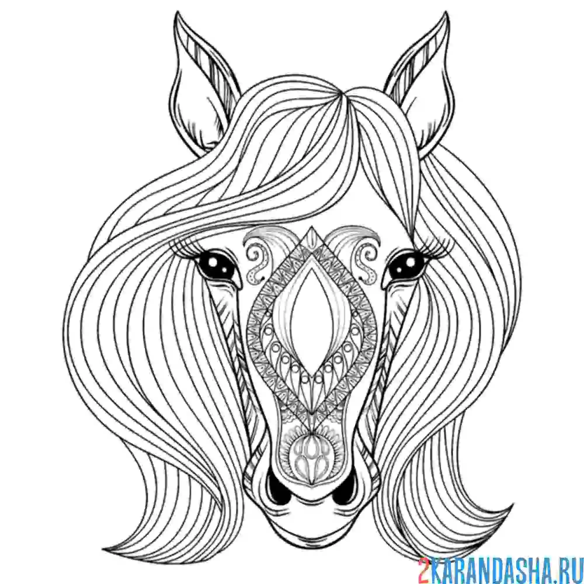 Раскраска антистресс голова лошади