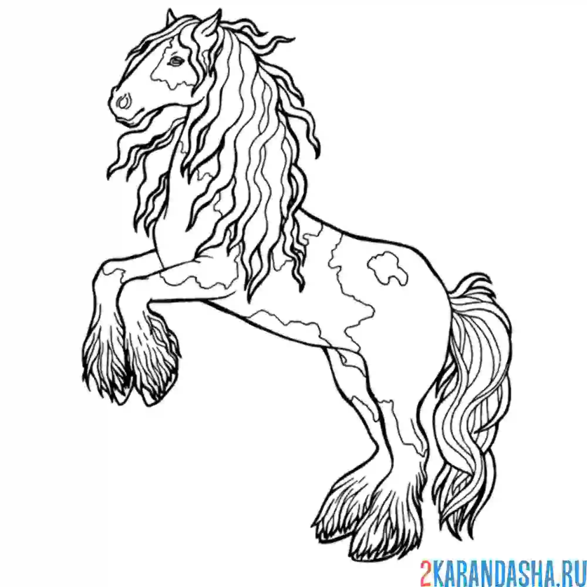 Раскраска лошадь породистая