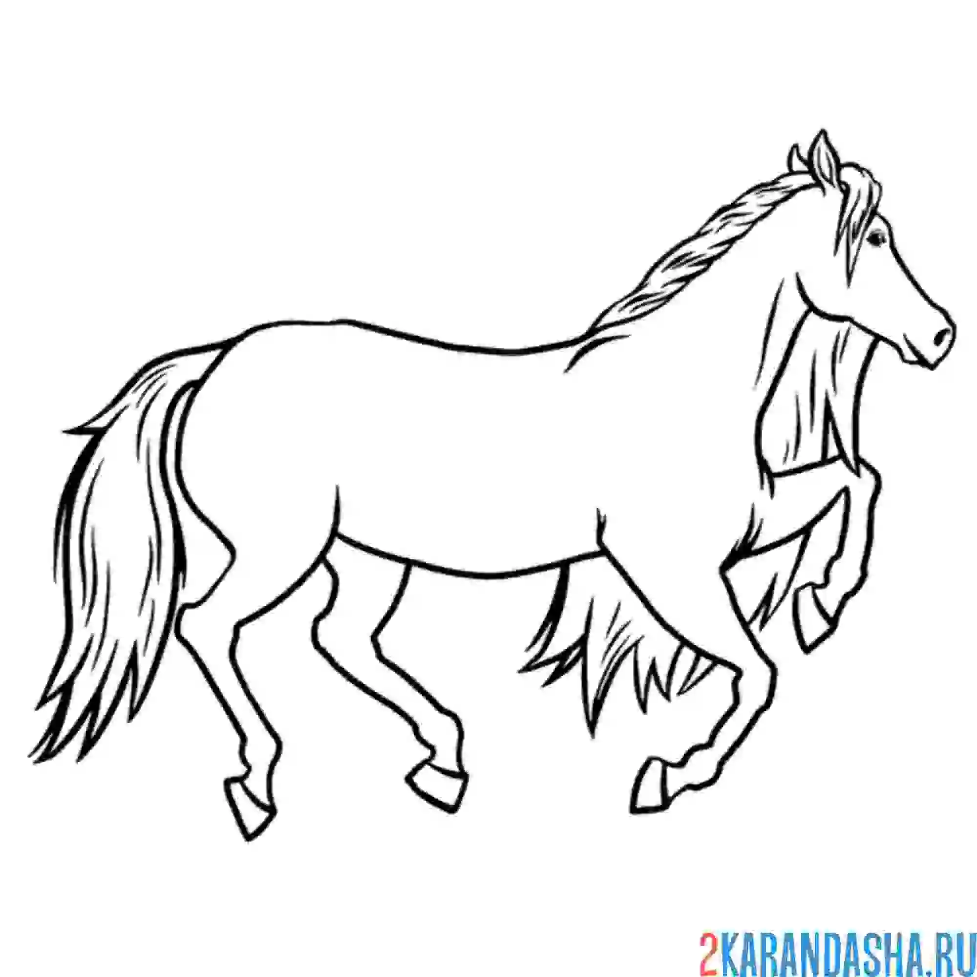 Раскраска простая лошадь