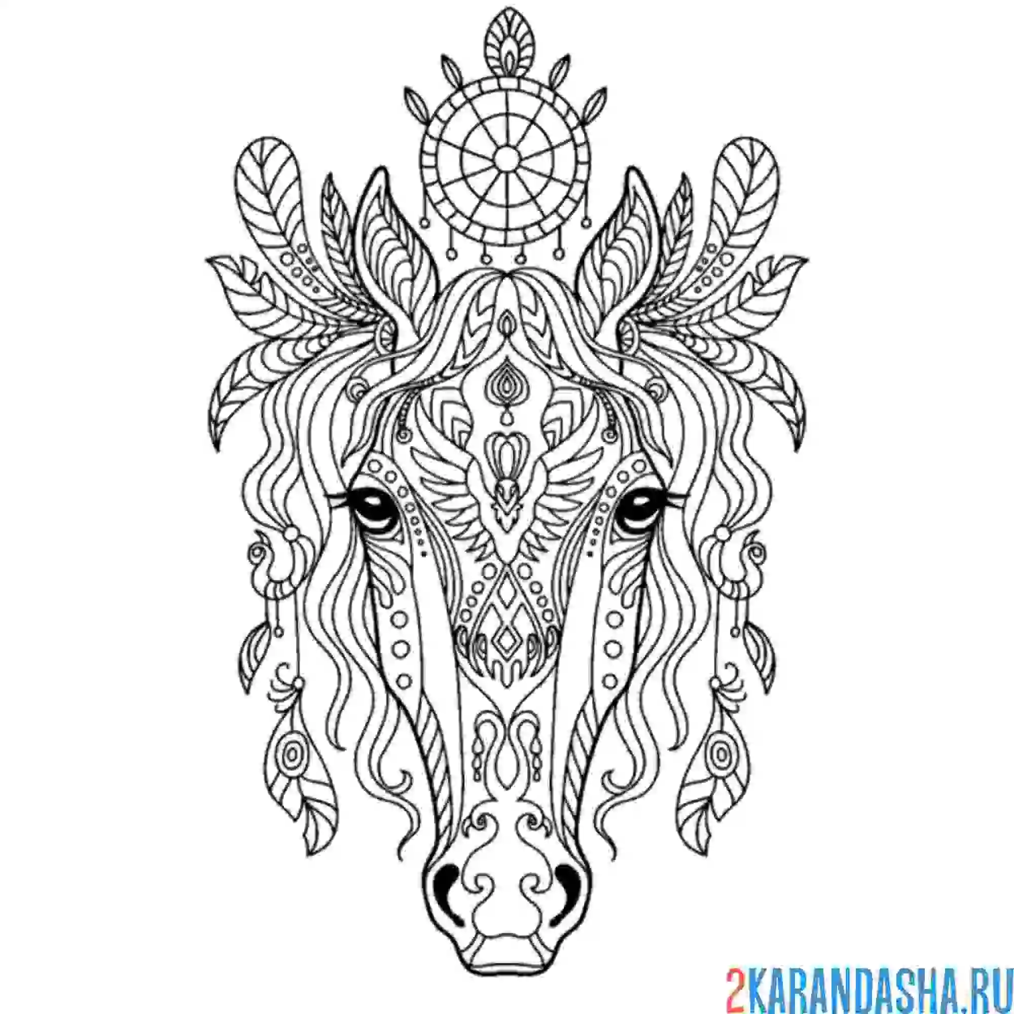 Раскраска антистресс лошадь голова