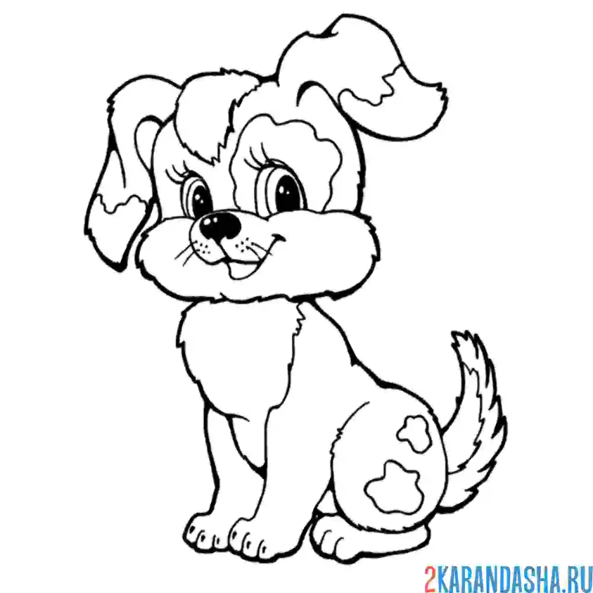Раскраска собака-забияка