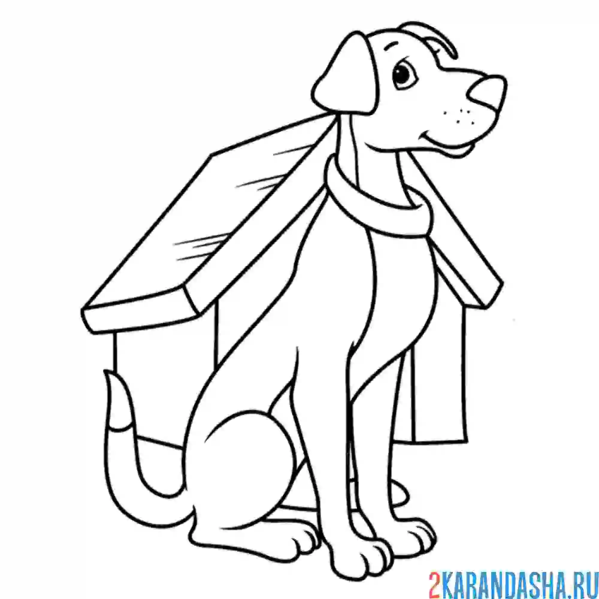 Раскраска умная собака у будки