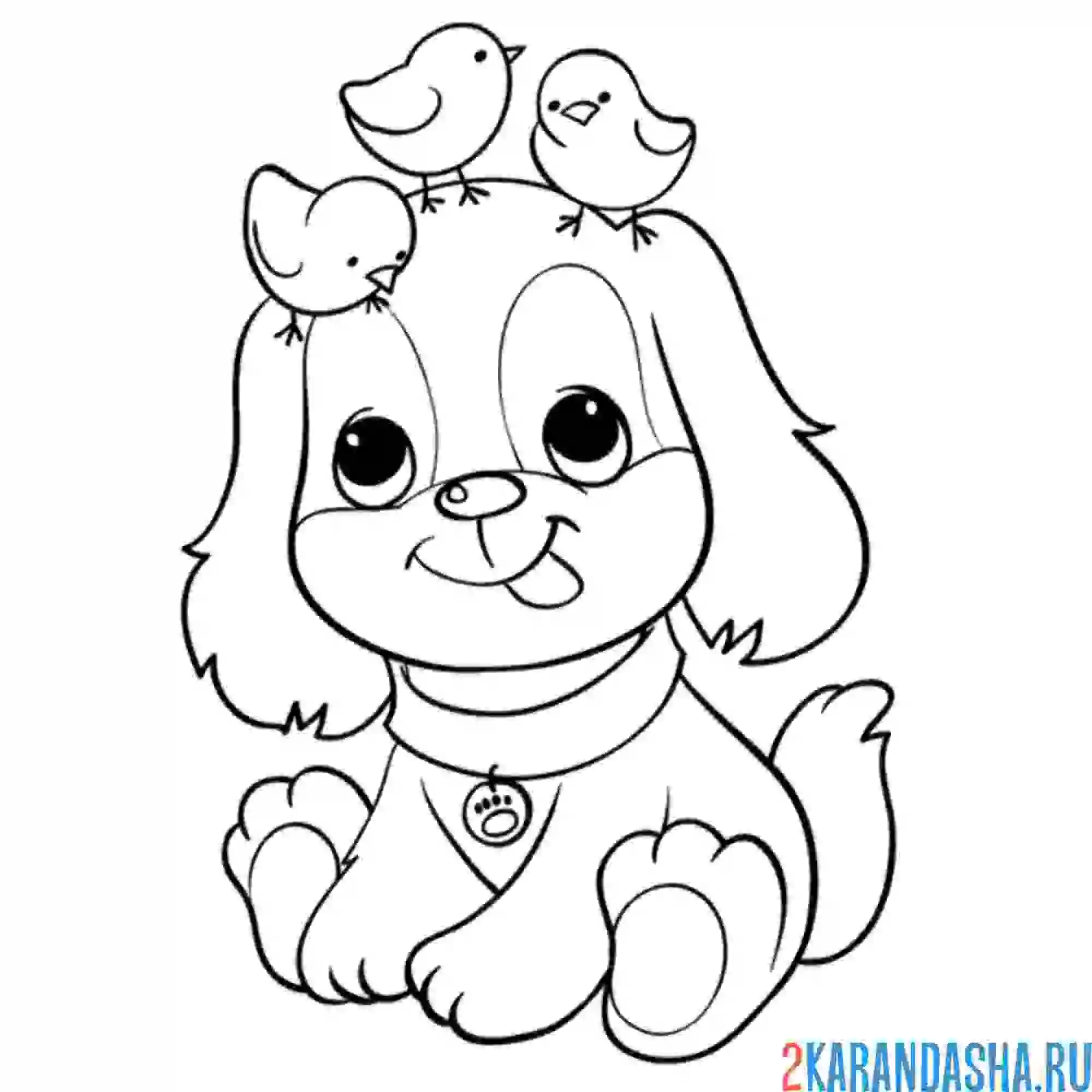 Раскраска щенок с цыплятами