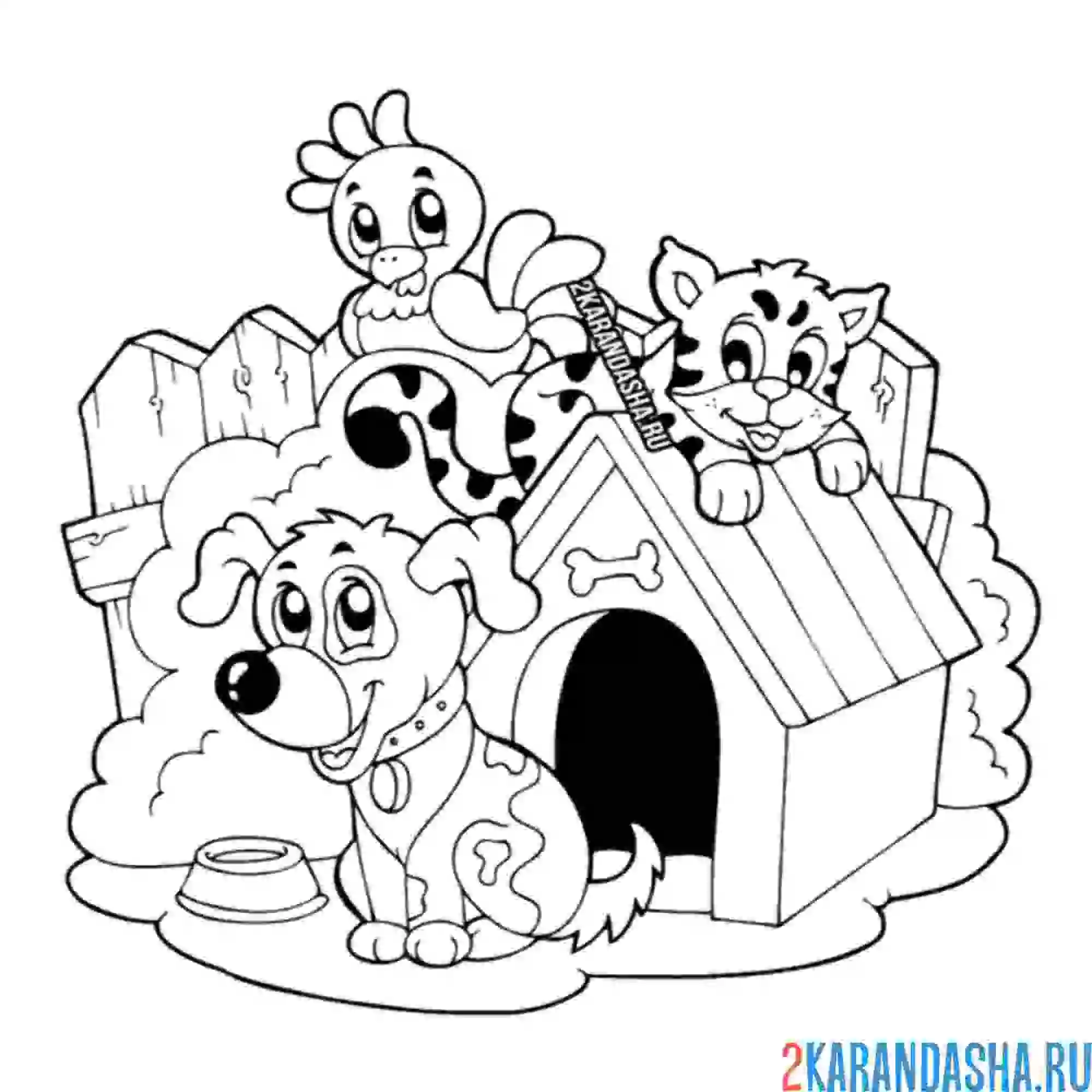 Раскраска собака, кот и попугай