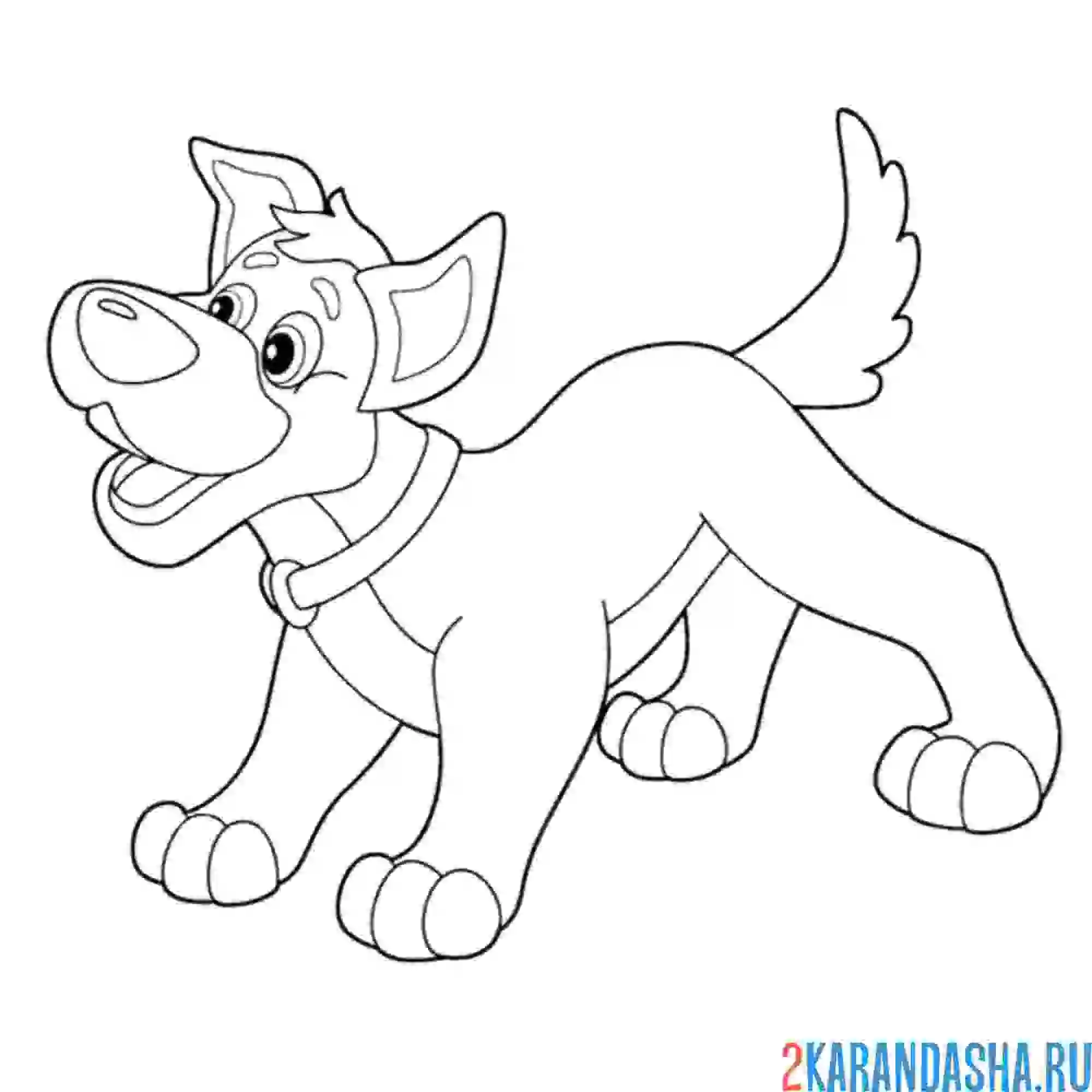 Раскраска щенок собака бежит