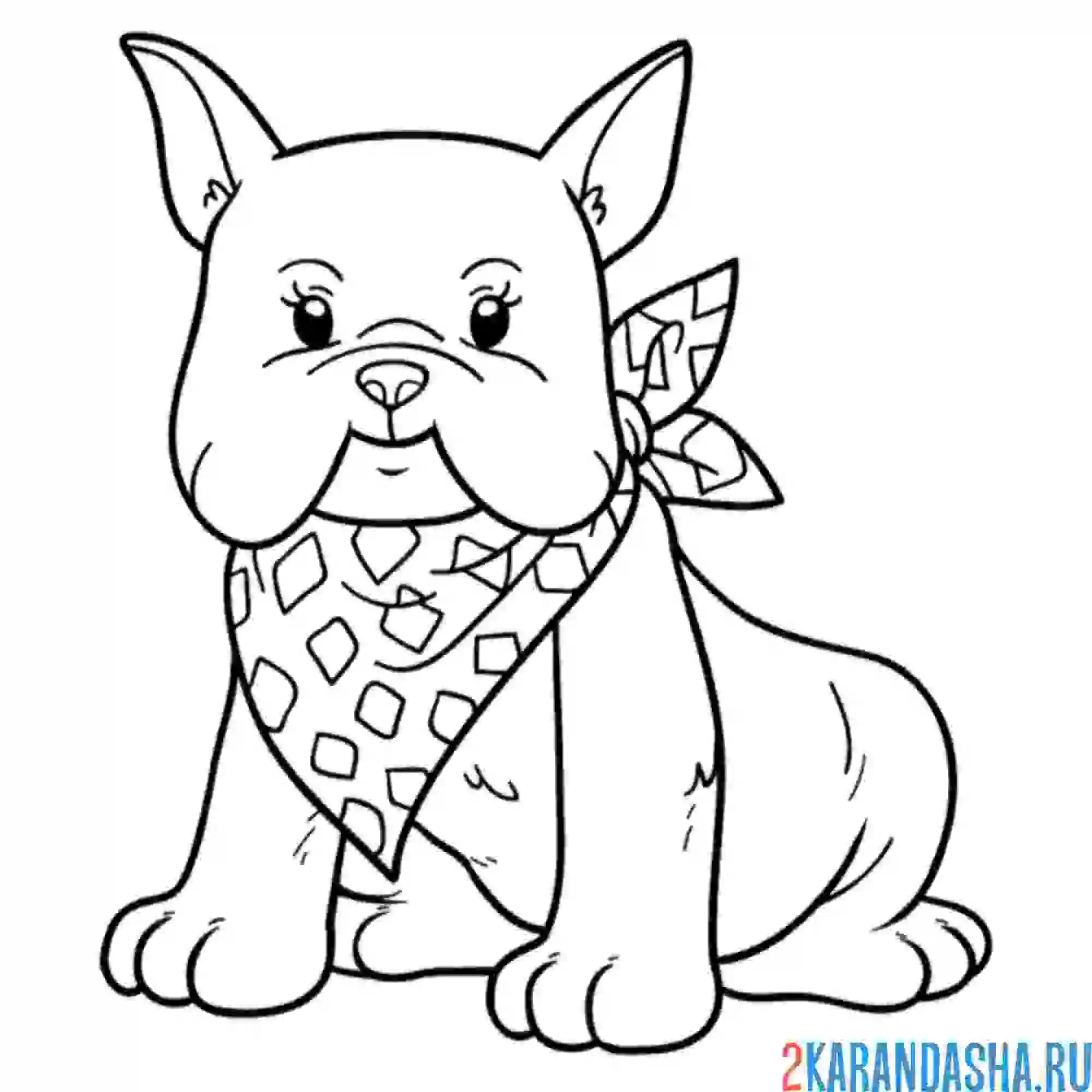 Раскраска собака и повязка