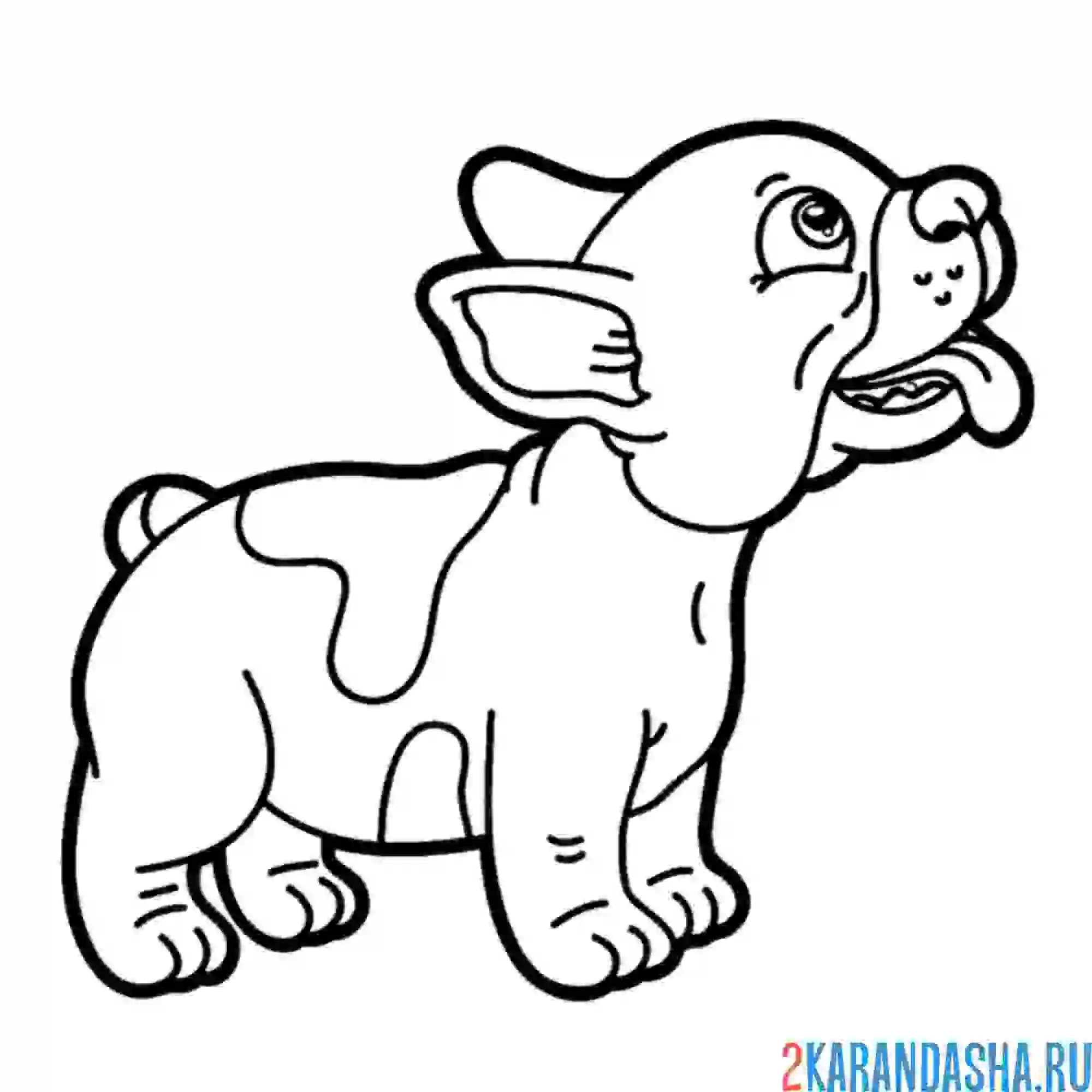 Раскраска милашка щенок
