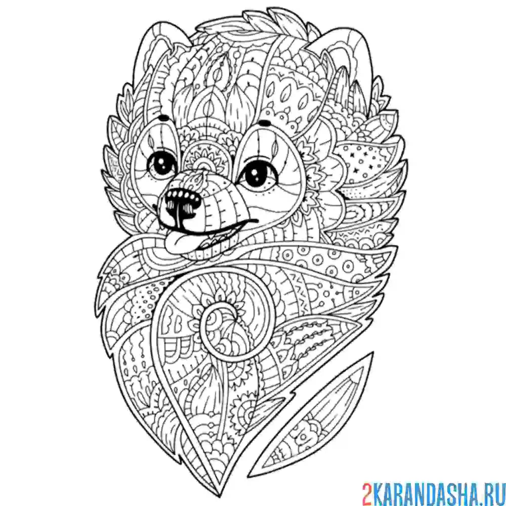 Раскраска антистресс добрая собака