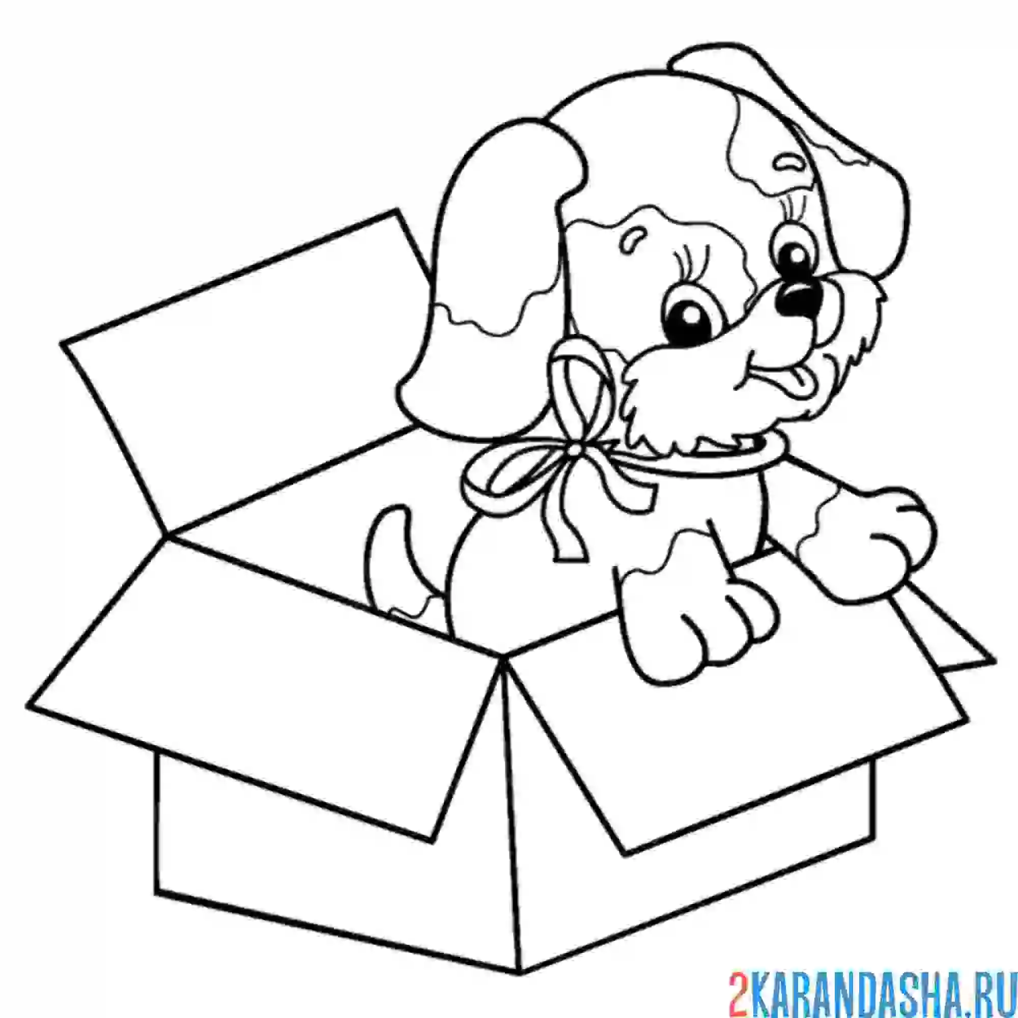 Раскраска собачка в коробке
