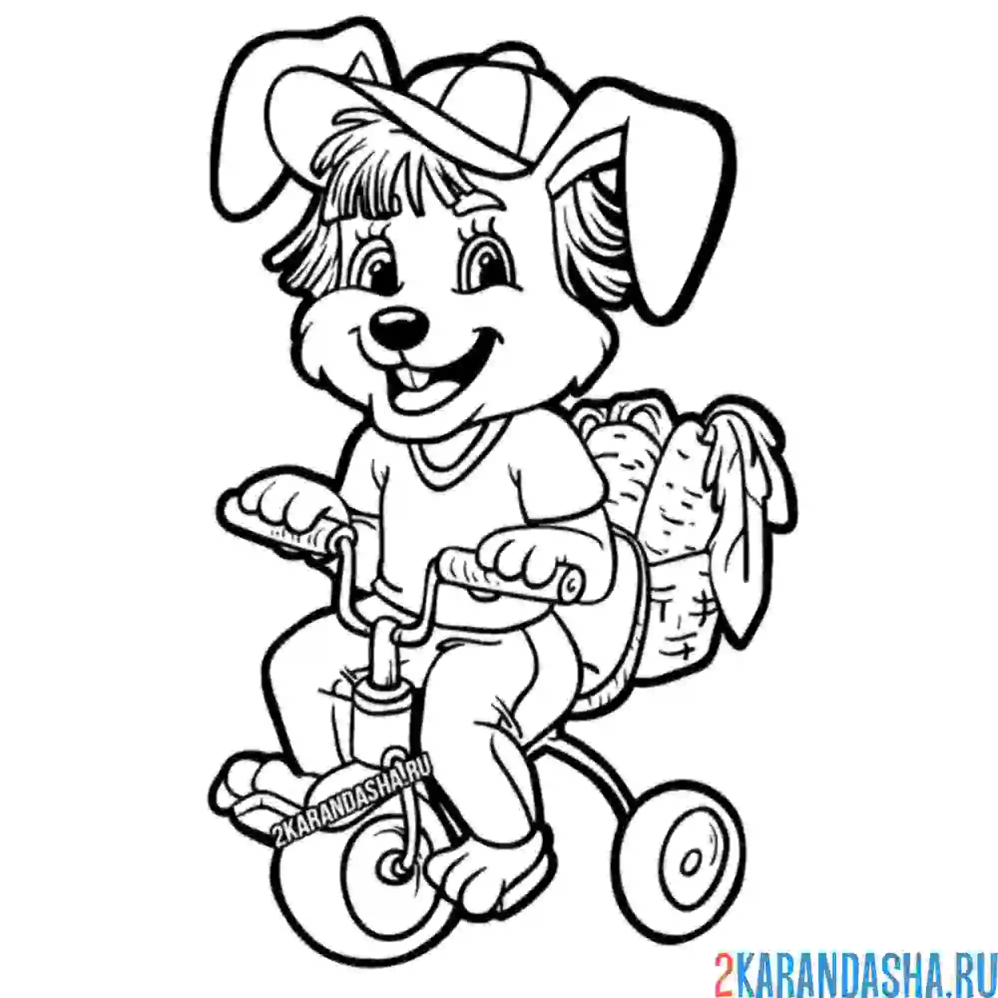 Раскраска кролик мальчик на велосипеде