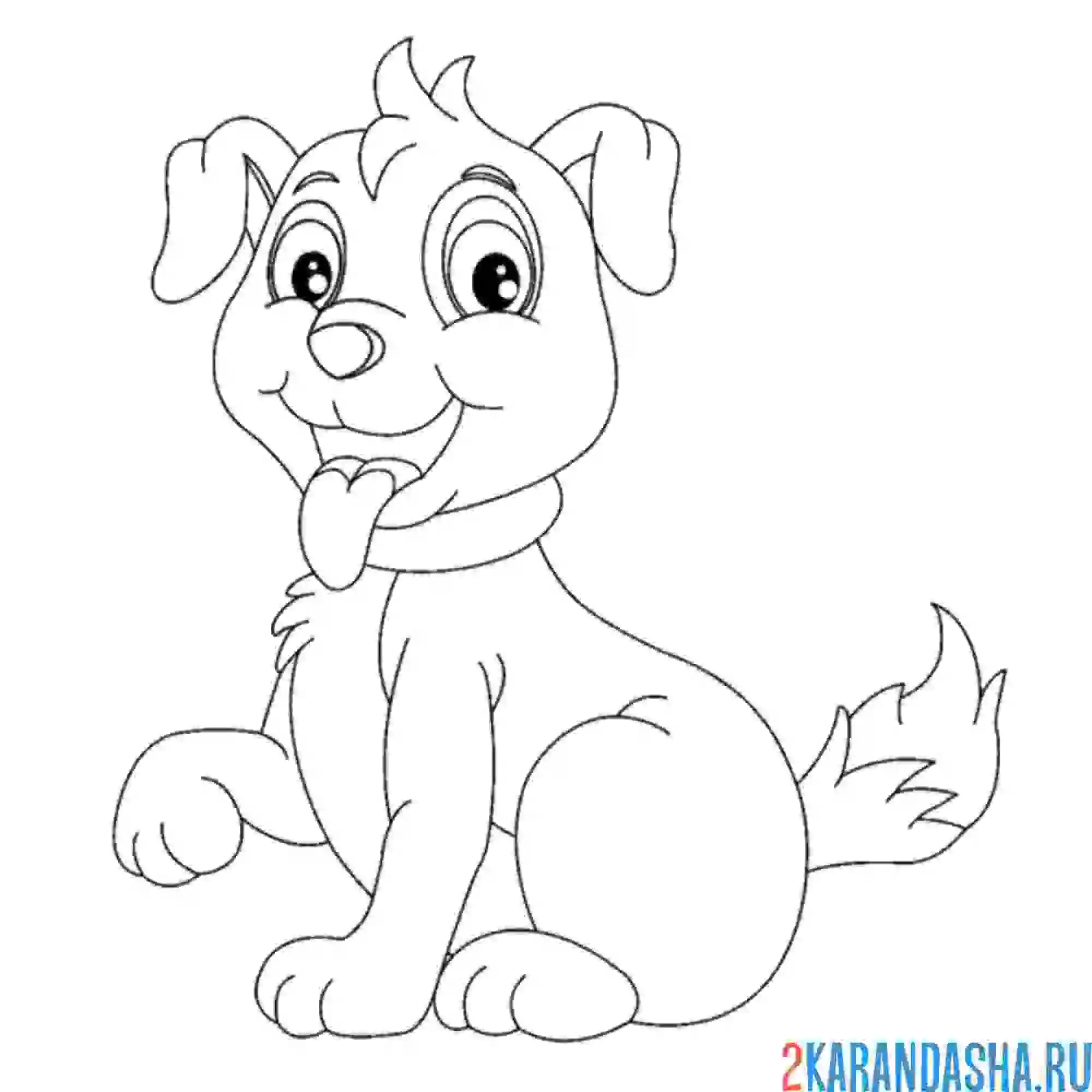 Раскраска собака дала лапу