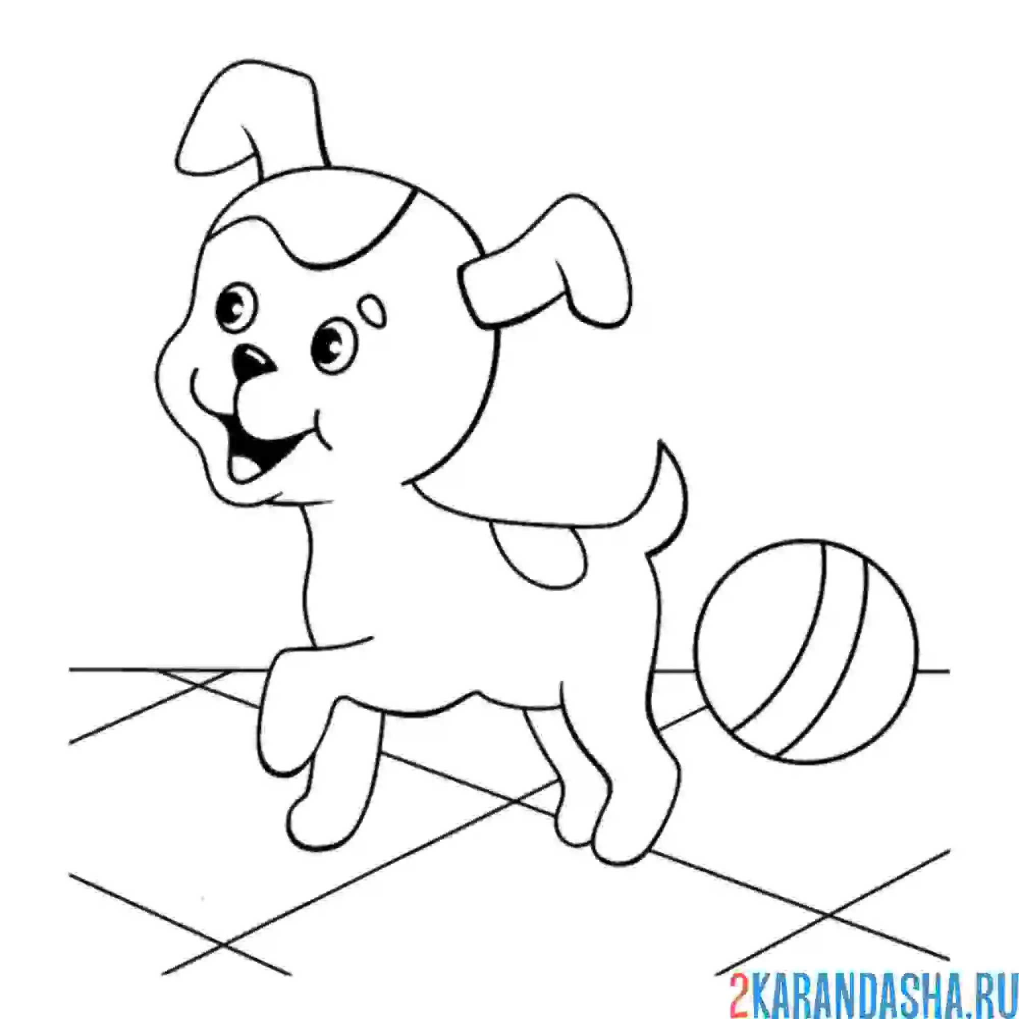 Раскраска щенок шарик дома