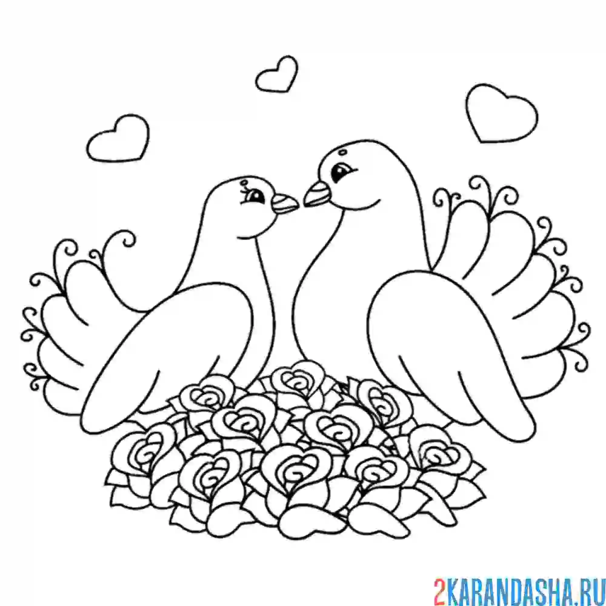Раскраска влюбленные голуби