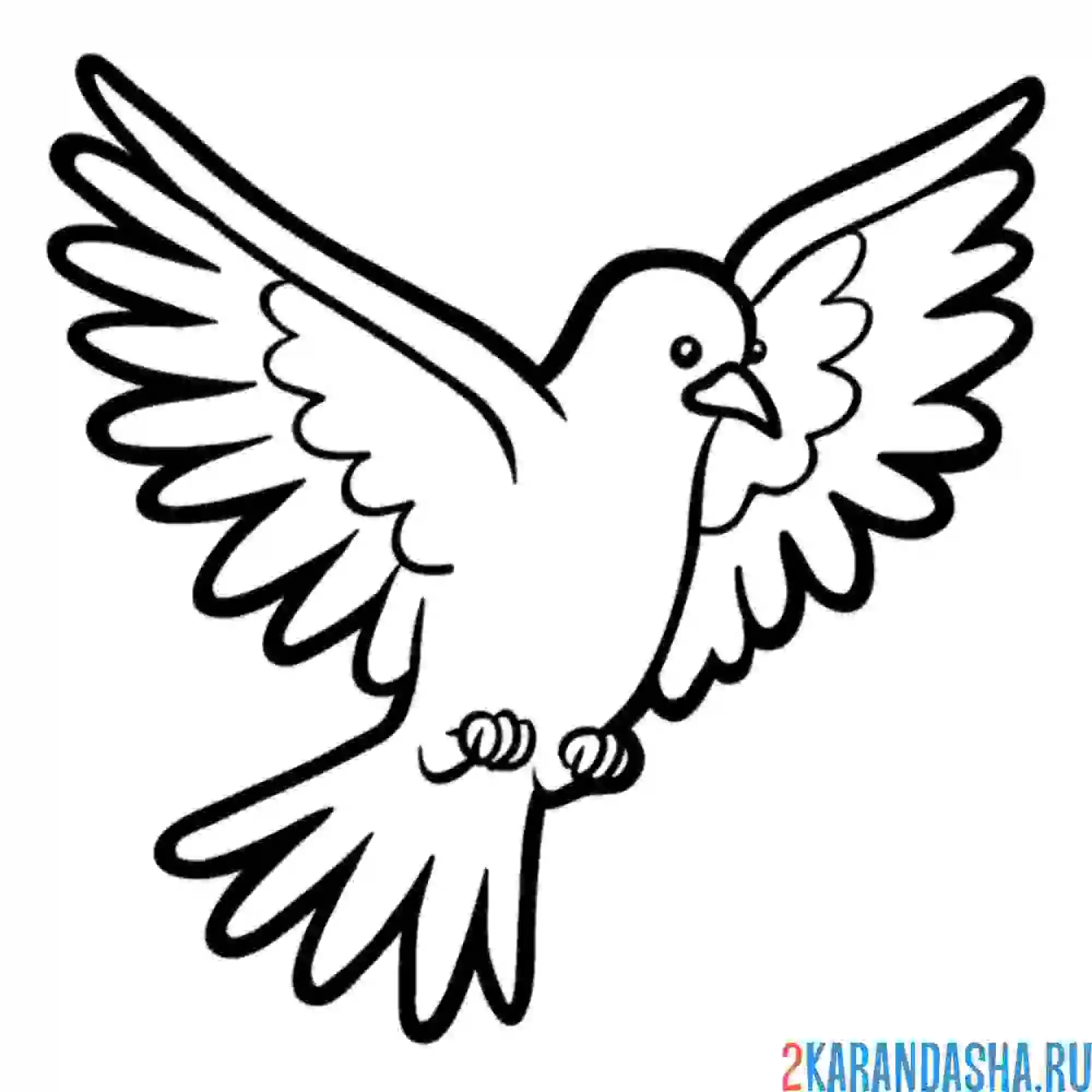 Раскраска голубь в полете