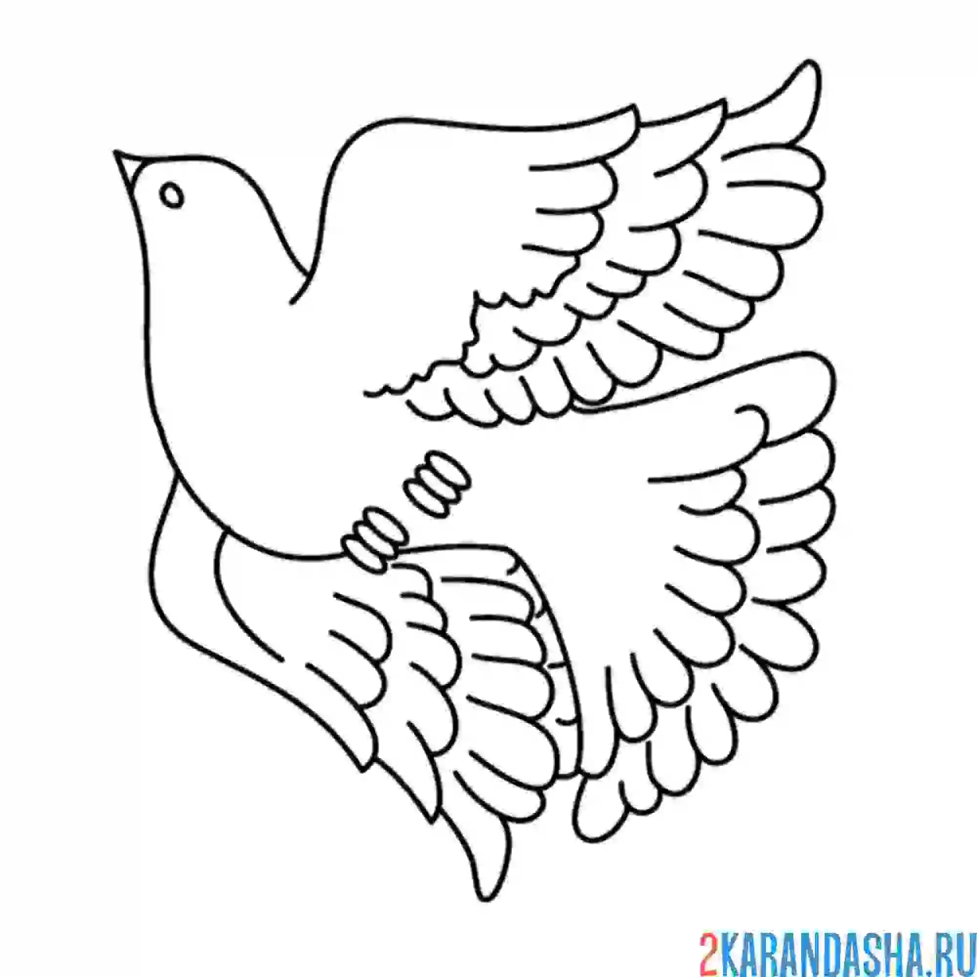 Раскраска белый голубь в полете